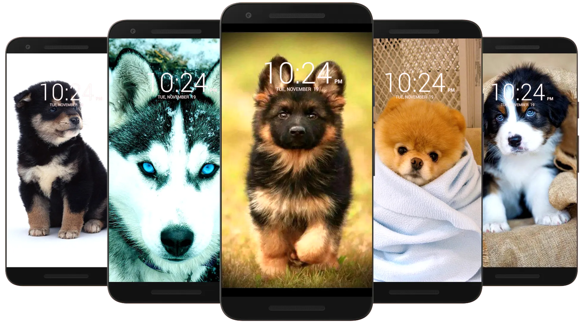 Dog Wallpaper HD | Indus Appstore | Screenshot