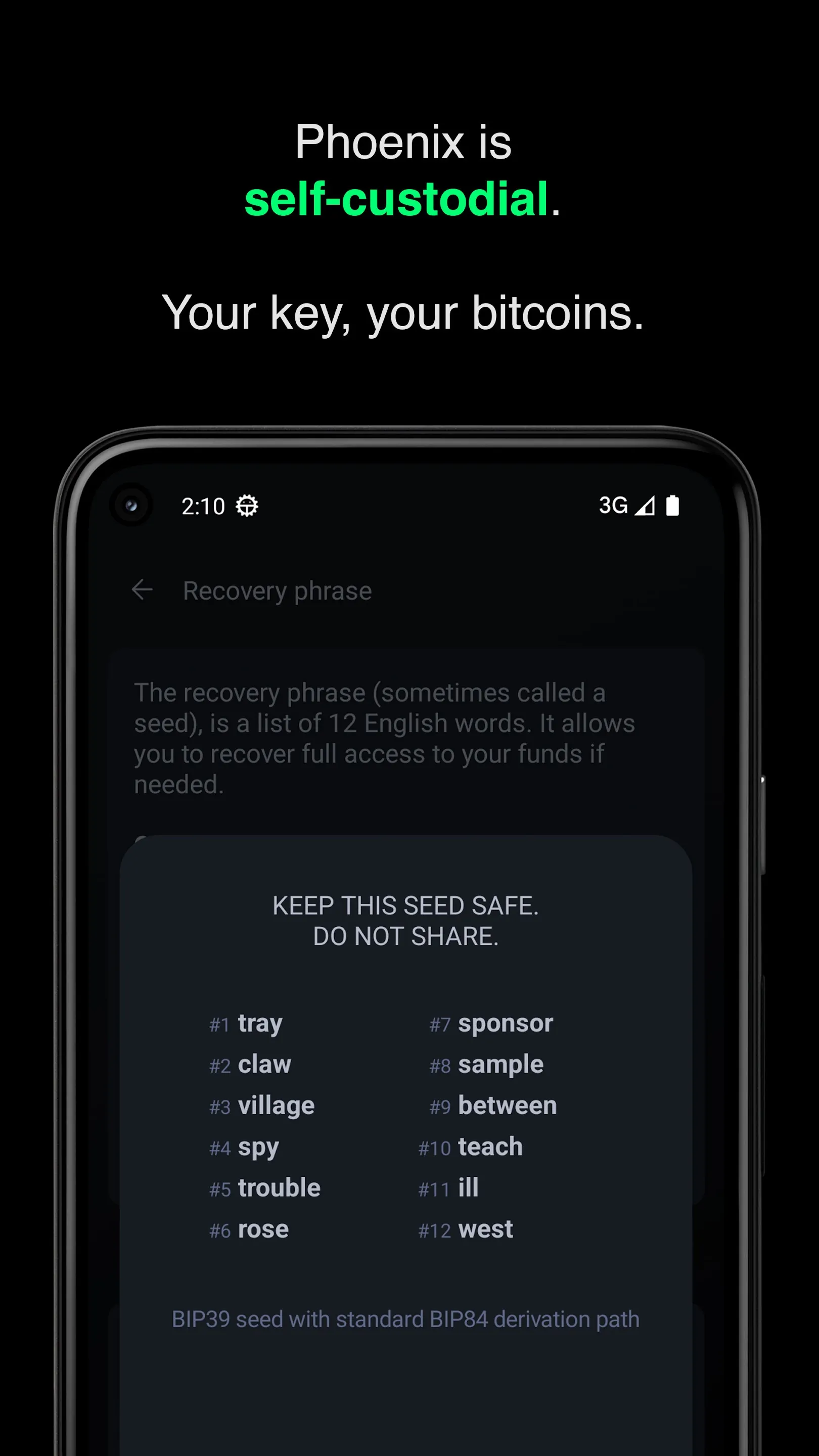 Phoenix - LN Bitcoin wallet | Indus Appstore | Screenshot