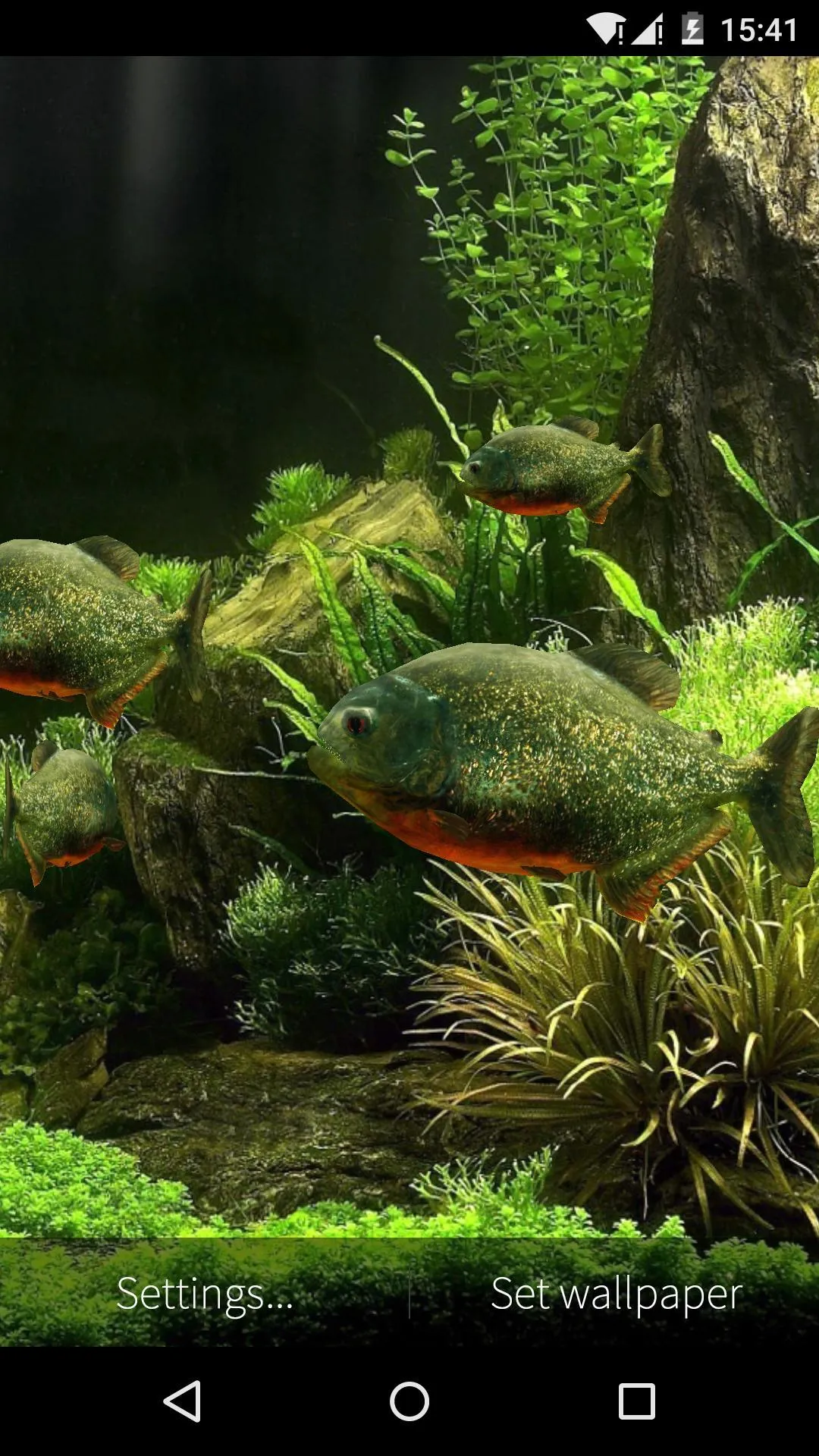 3D Fish Aquarium Wallpaper HD | Indus Appstore | Screenshot