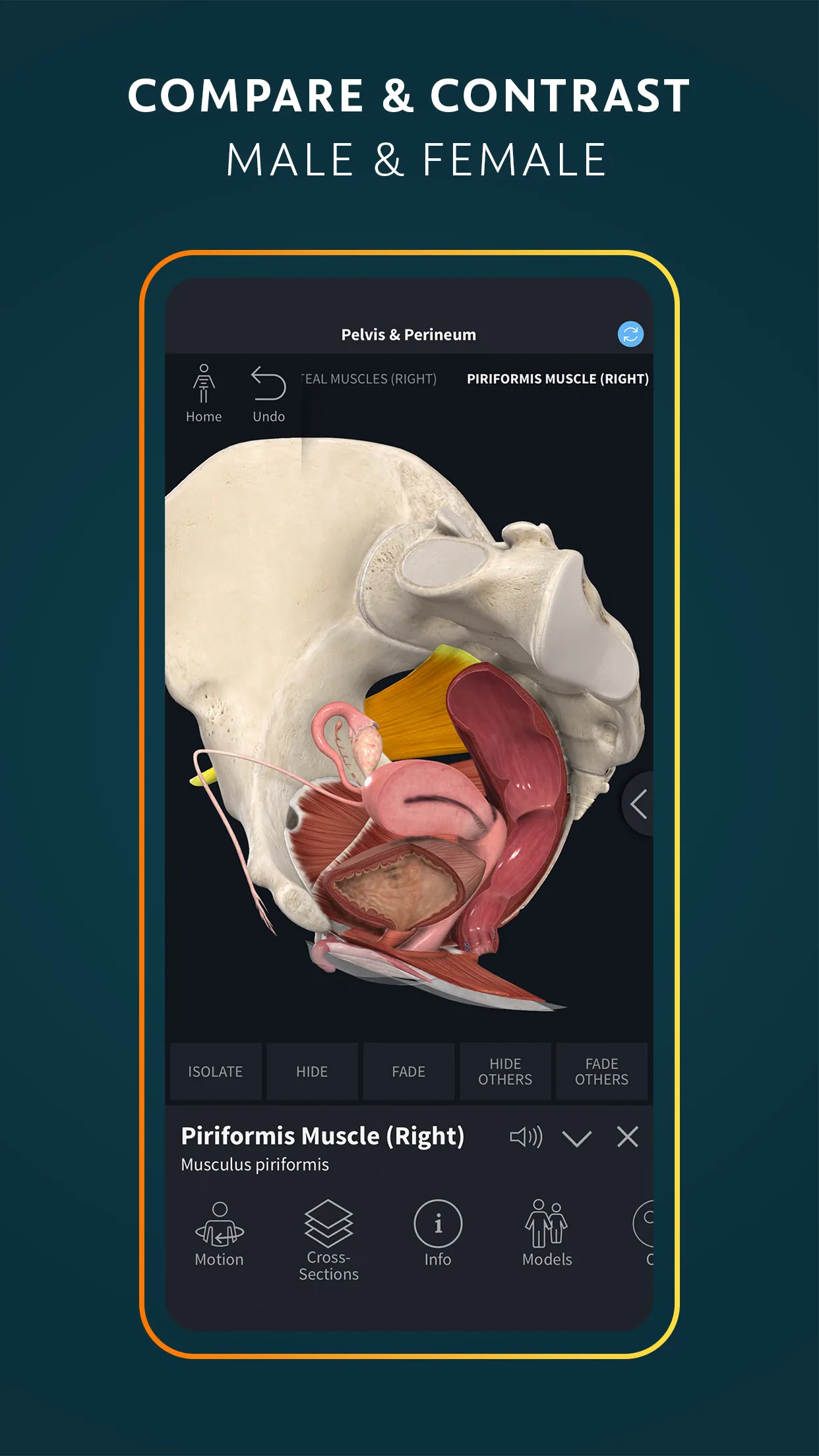 Complete Anatomy 2024 | Indus Appstore | Screenshot