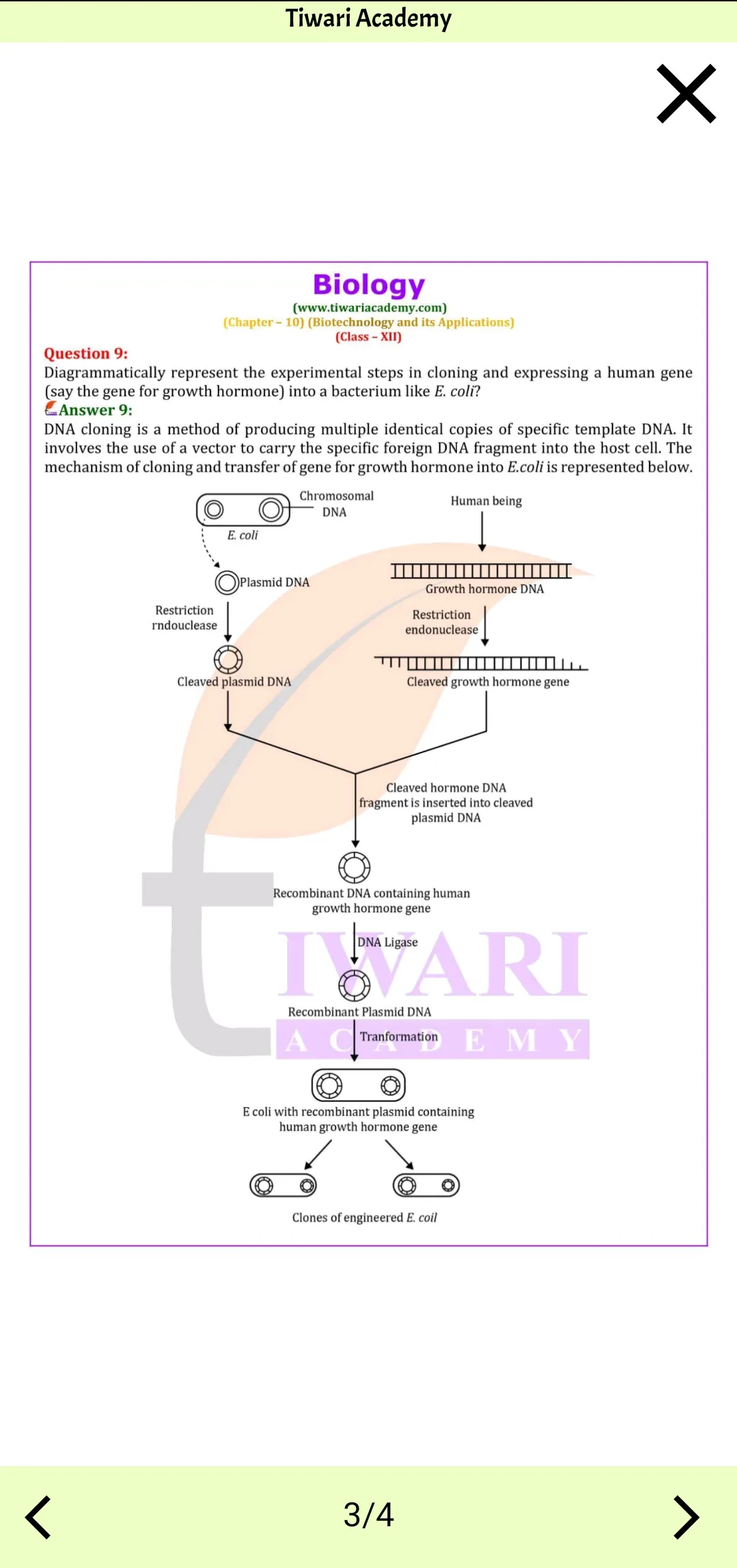 Class 12 Biology for 2024-25 | Indus Appstore | Screenshot