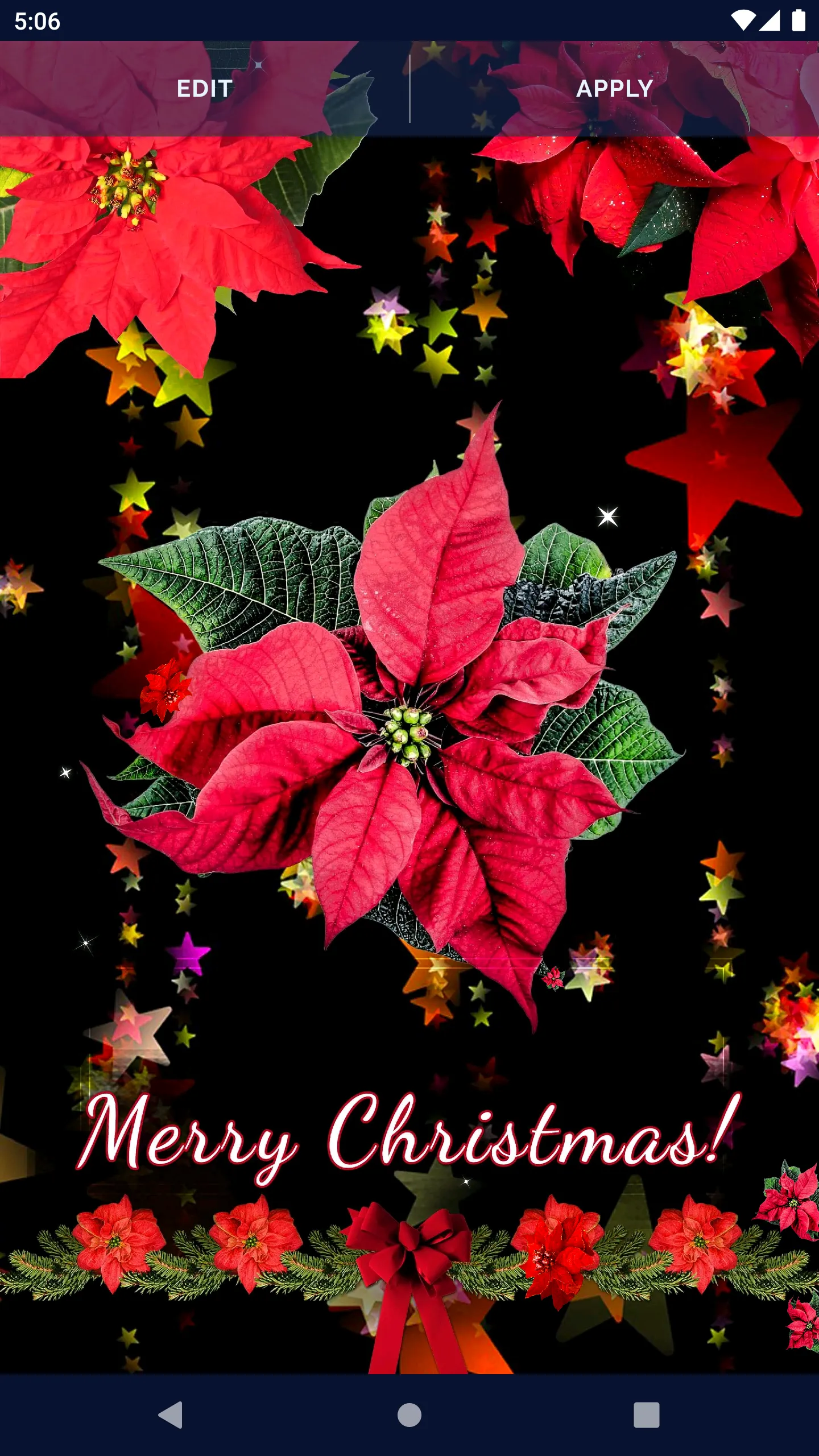 Poinsettia 4K Christmas Flower | Indus Appstore | Screenshot