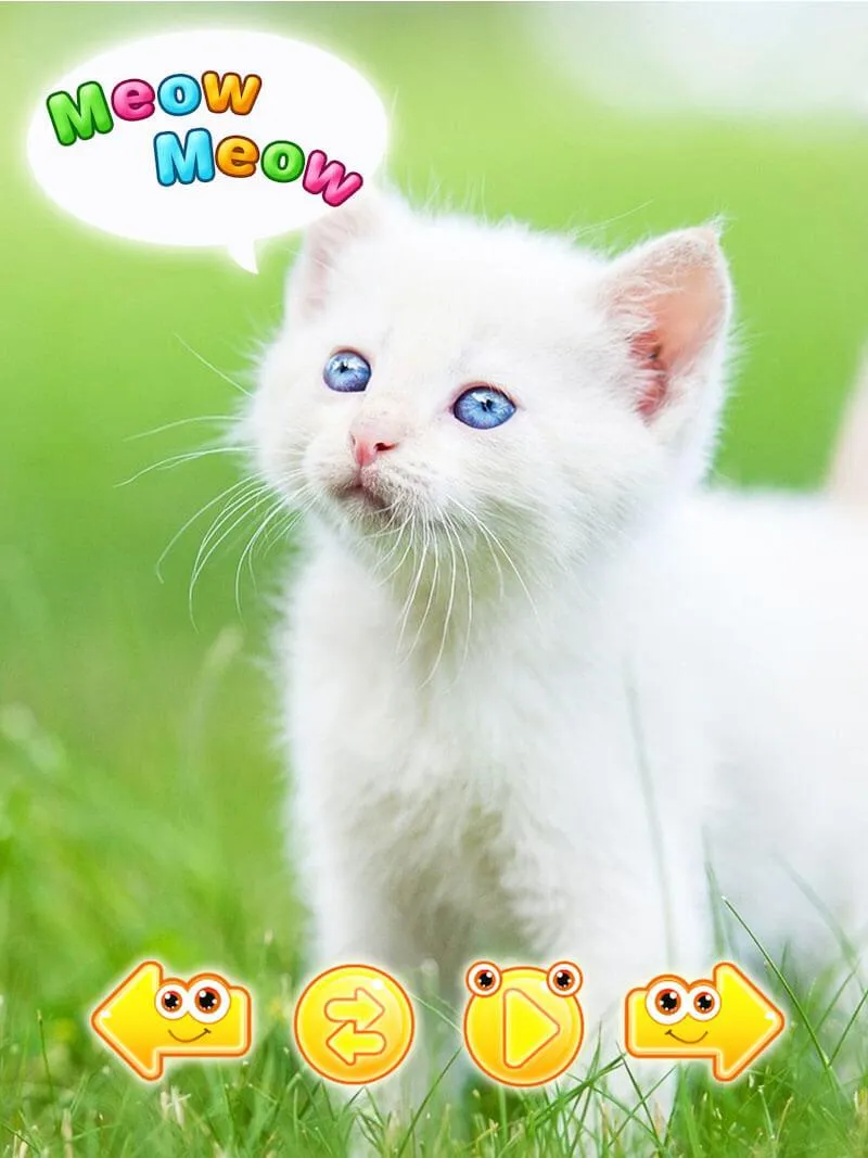 Cute animal pictures & animal  | Indus Appstore | Screenshot