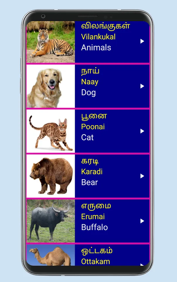 Learn Tamil From English | Indus Appstore | Screenshot