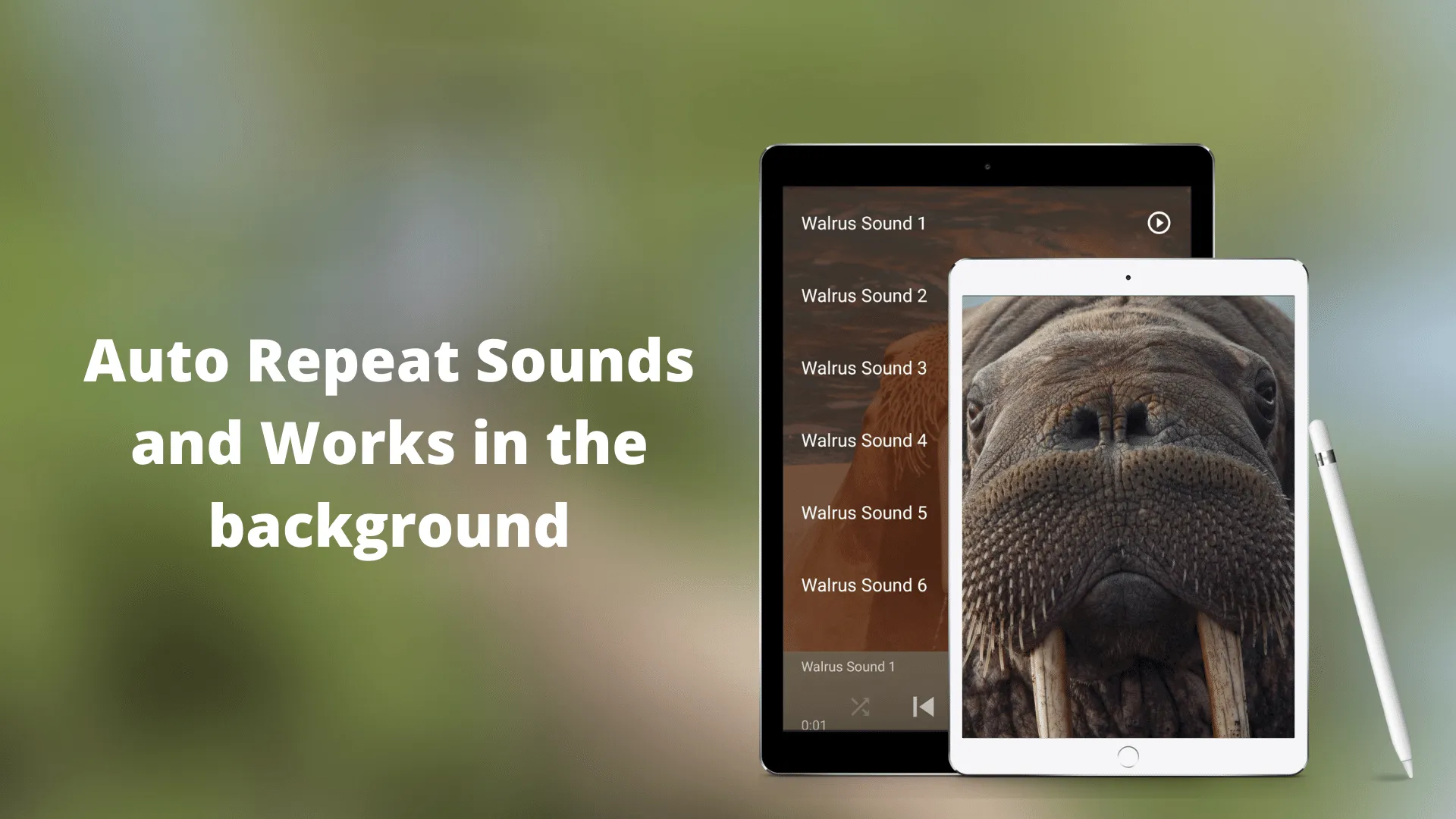 Walrus Sounds | Indus Appstore | Screenshot