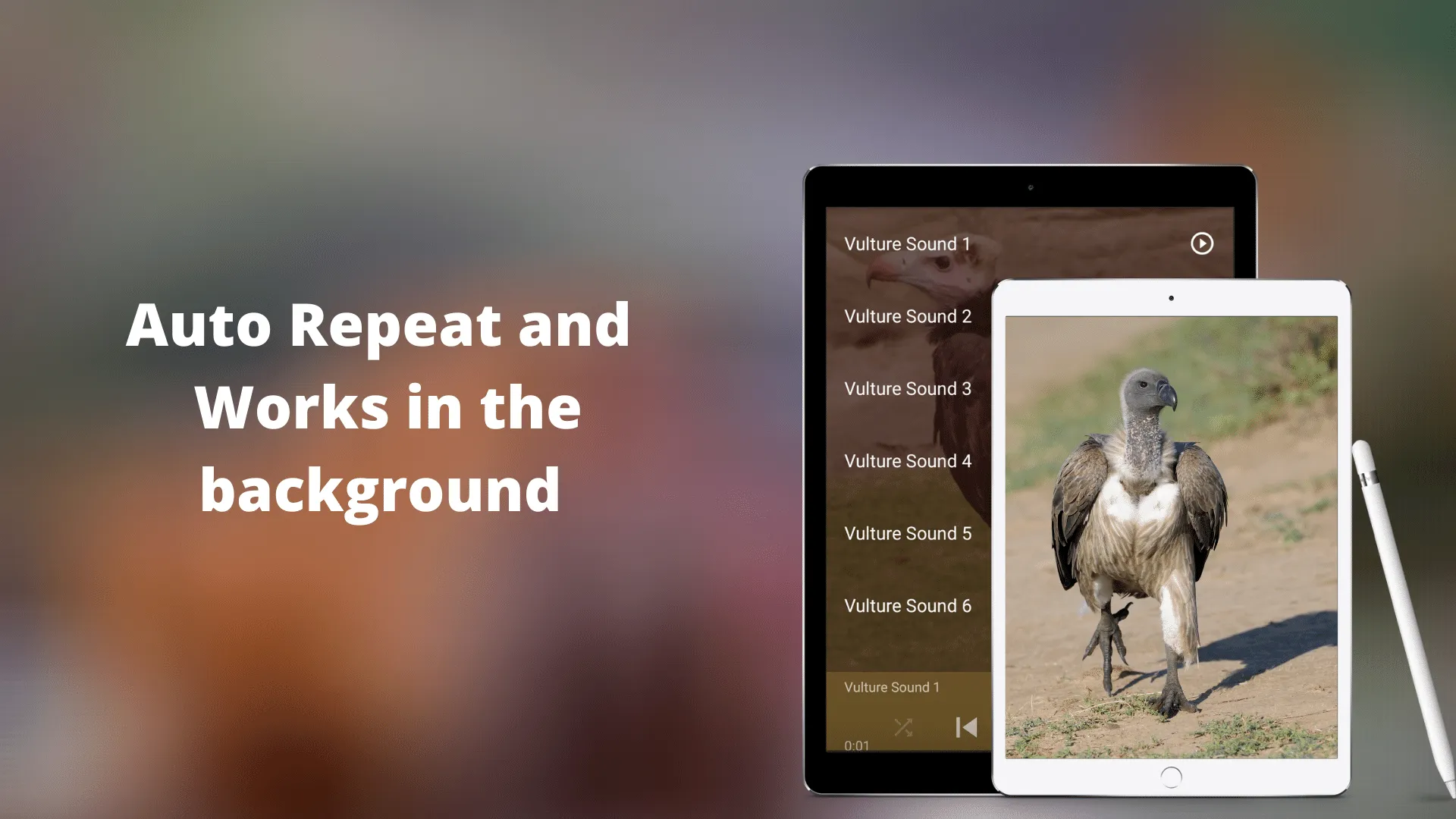 Vulture Sounds | Indus Appstore | Screenshot