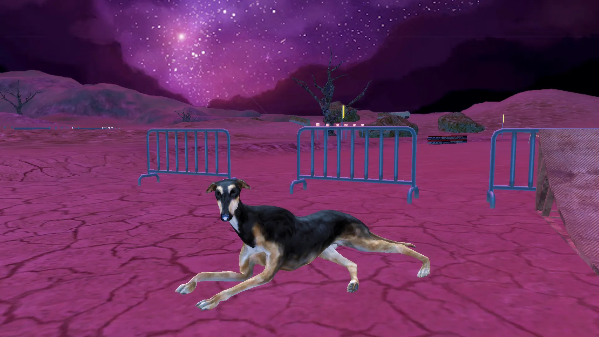 Greyhound Dog Simulator | Indus Appstore | Screenshot