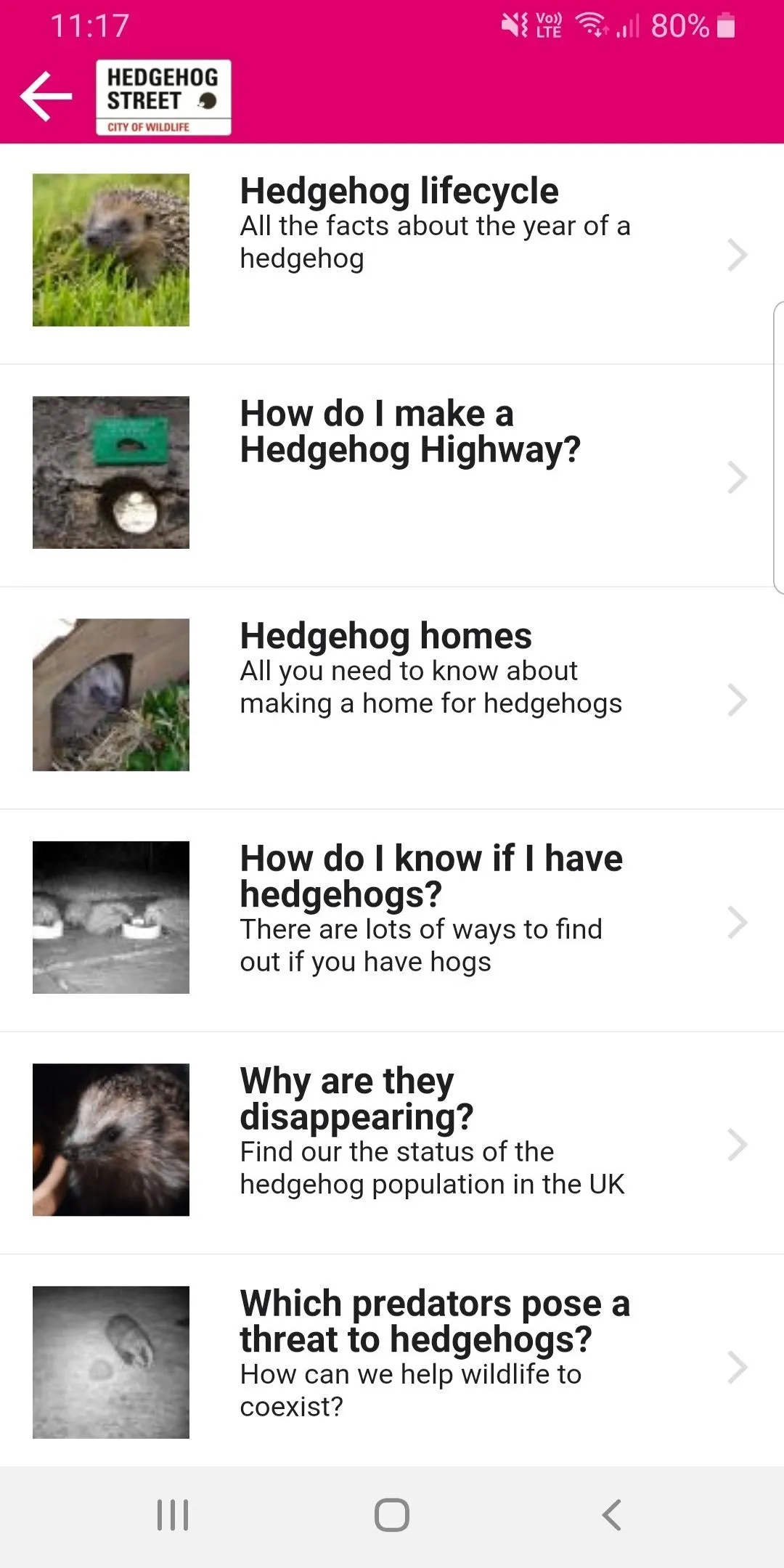 Hedgehog Street | Indus Appstore | Screenshot