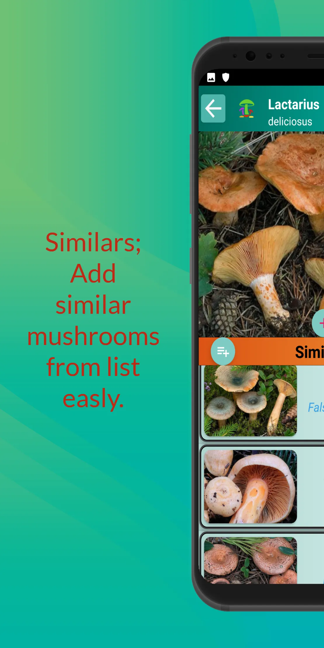 Mushroom Hunter's Guide | Indus Appstore | Screenshot