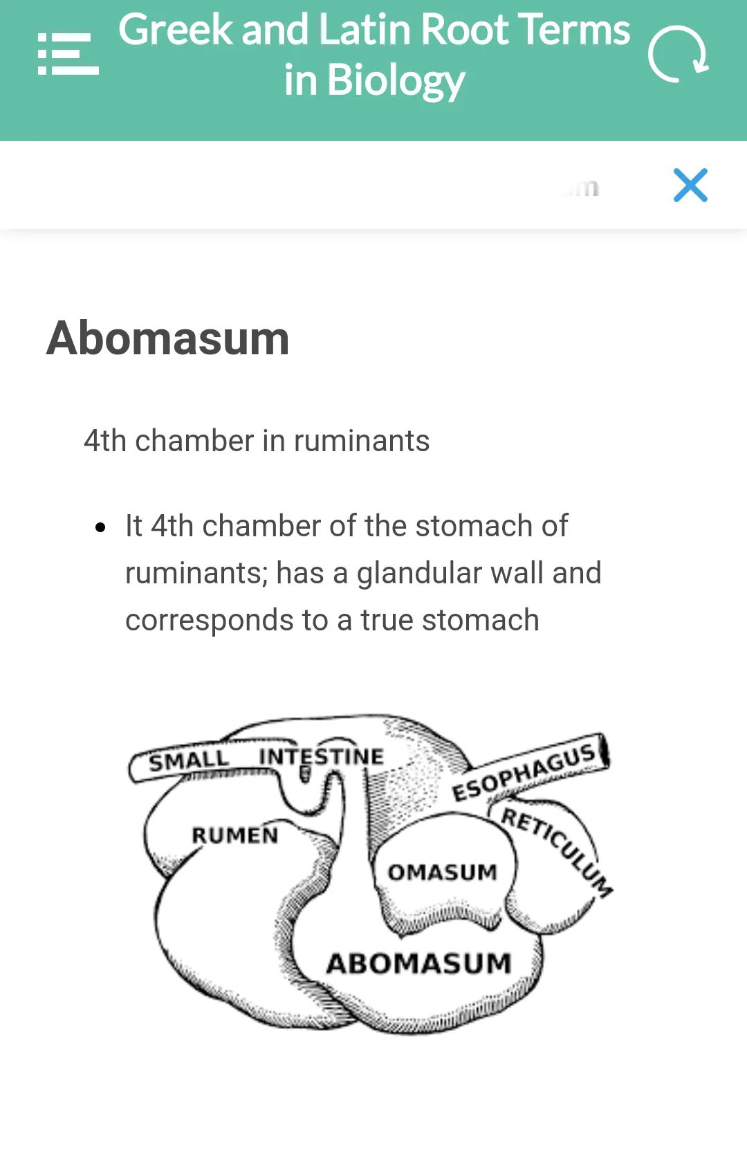 Greek & Latin Terms in Biology | Indus Appstore | Screenshot