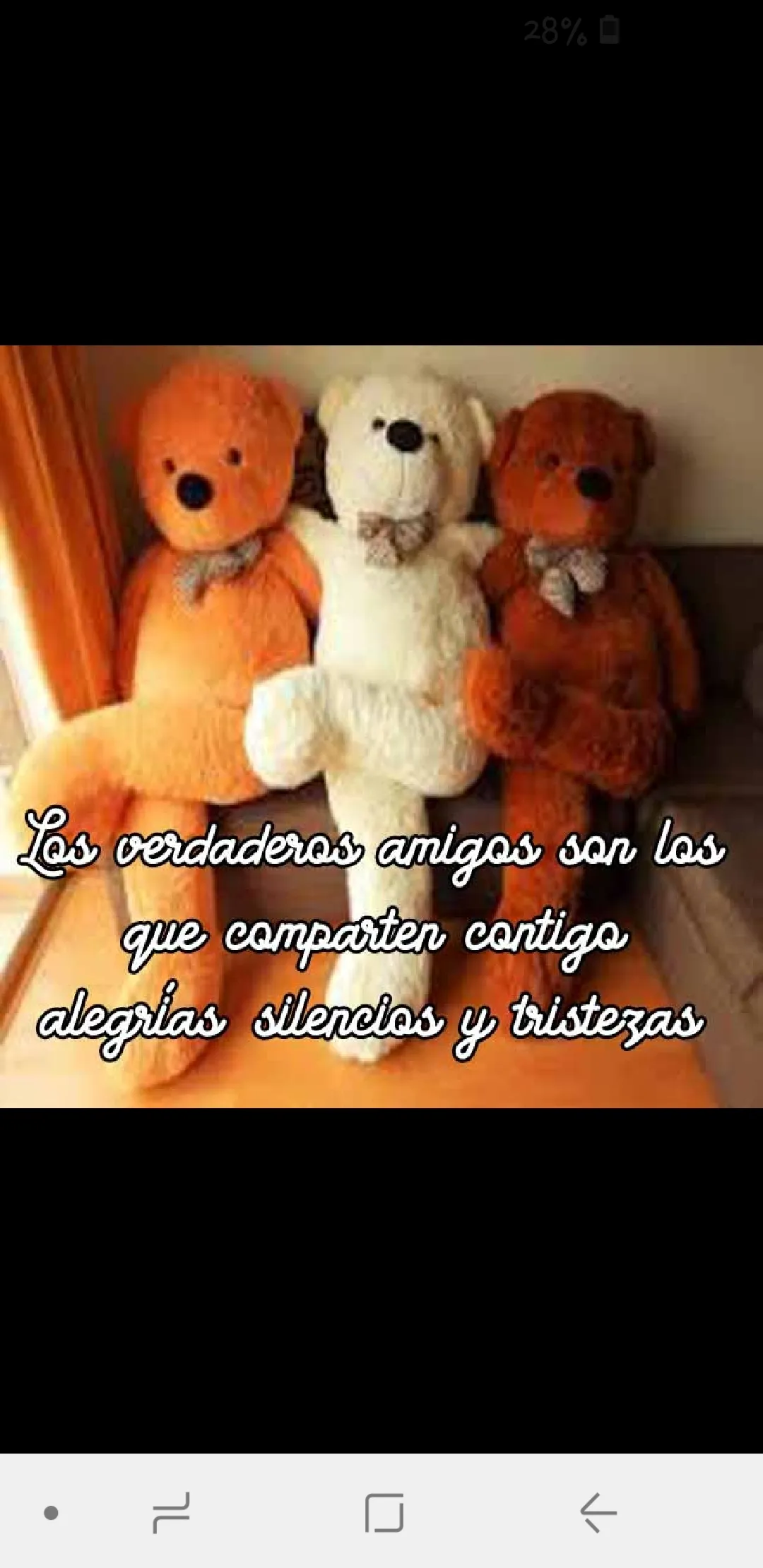 Frases de Amistad Osos tiernos | Indus Appstore | Screenshot