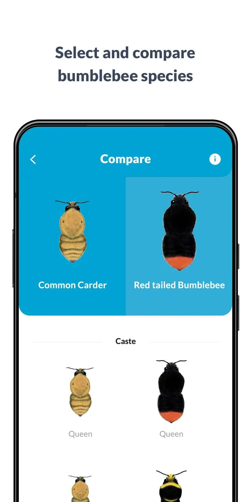 What’s that bumblebee | Indus Appstore | Screenshot