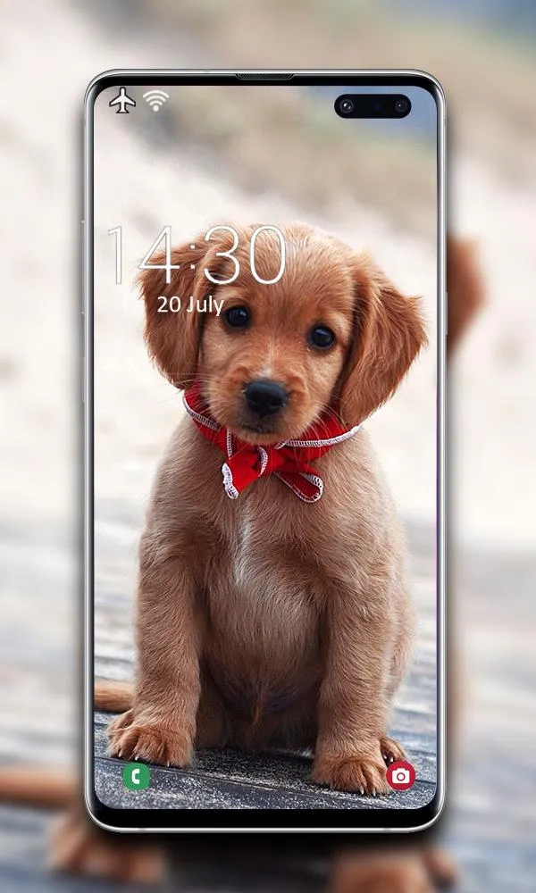 Puppy Wallpaper | Indus Appstore | Screenshot