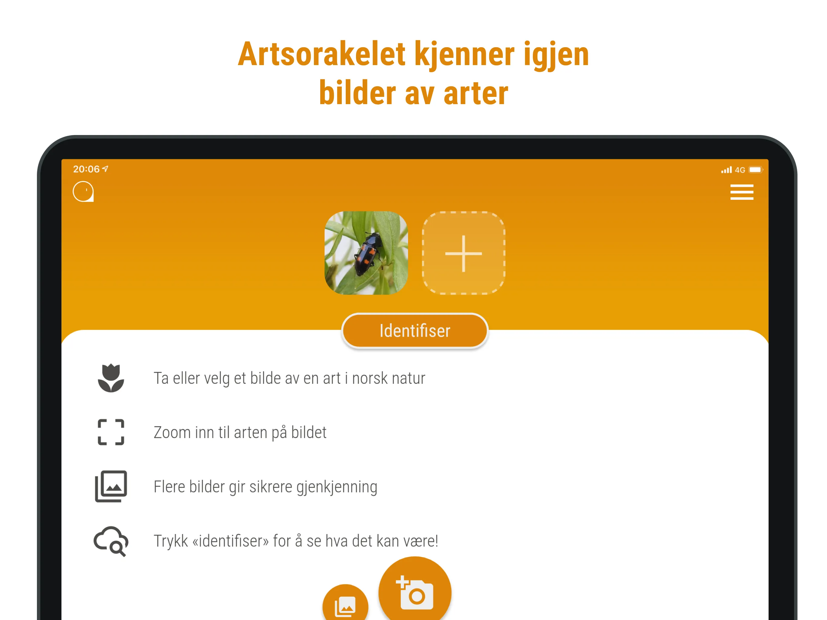 Artsorakel | Indus Appstore | Screenshot