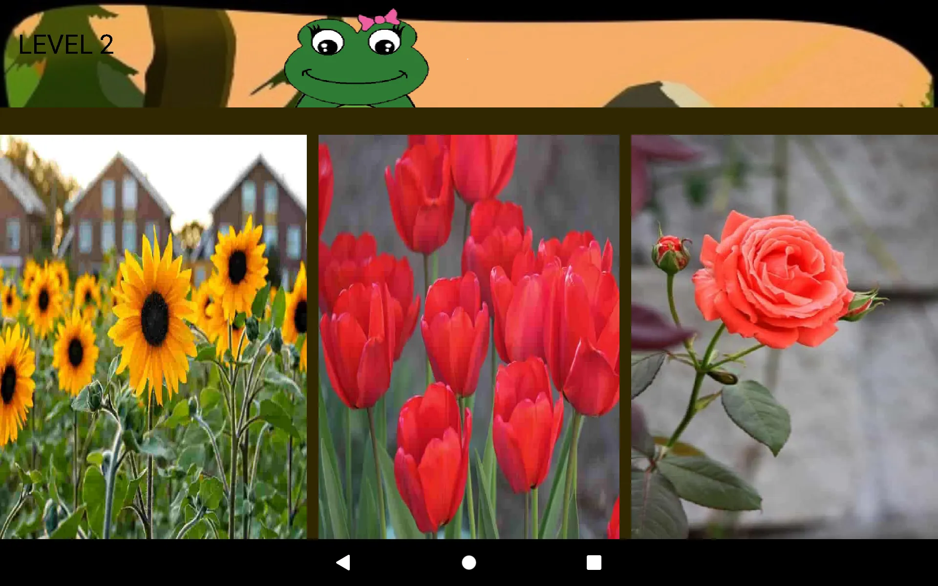 Miss Froggy | Indus Appstore | Screenshot