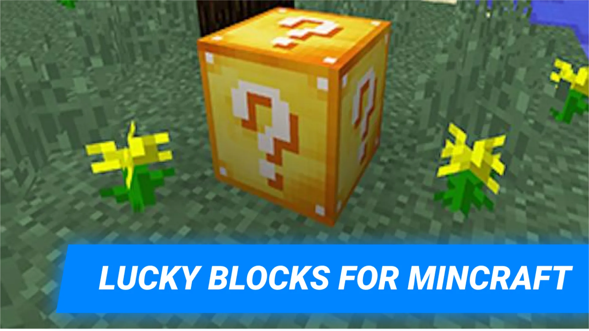 Lucky Block mod for MCPE | Indus Appstore | Screenshot