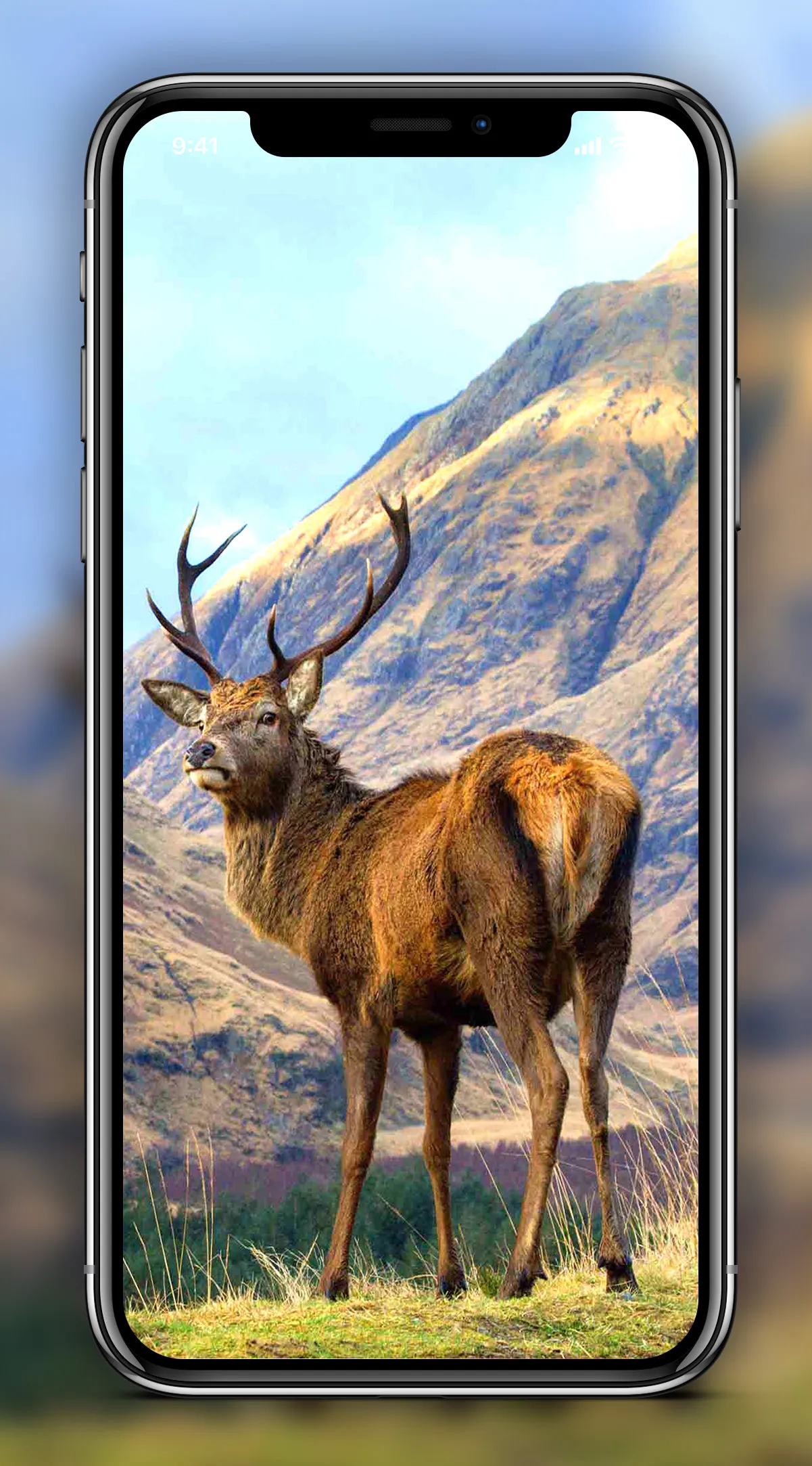 Deer Wallpapers | Indus Appstore | Screenshot