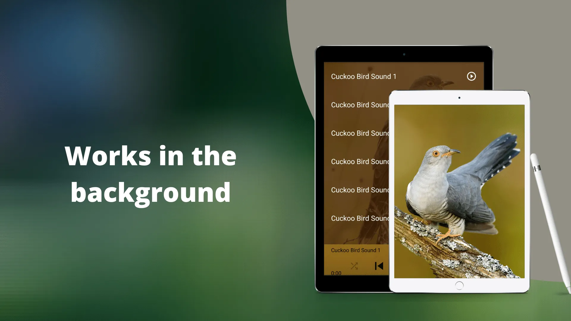 Cuckoo Bird Sounds | Indus Appstore | Screenshot