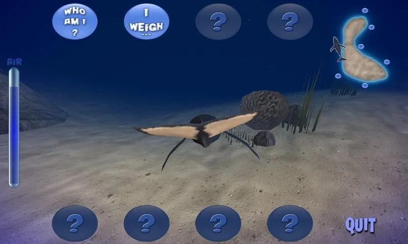 The Humpback Whale | Indus Appstore | Screenshot