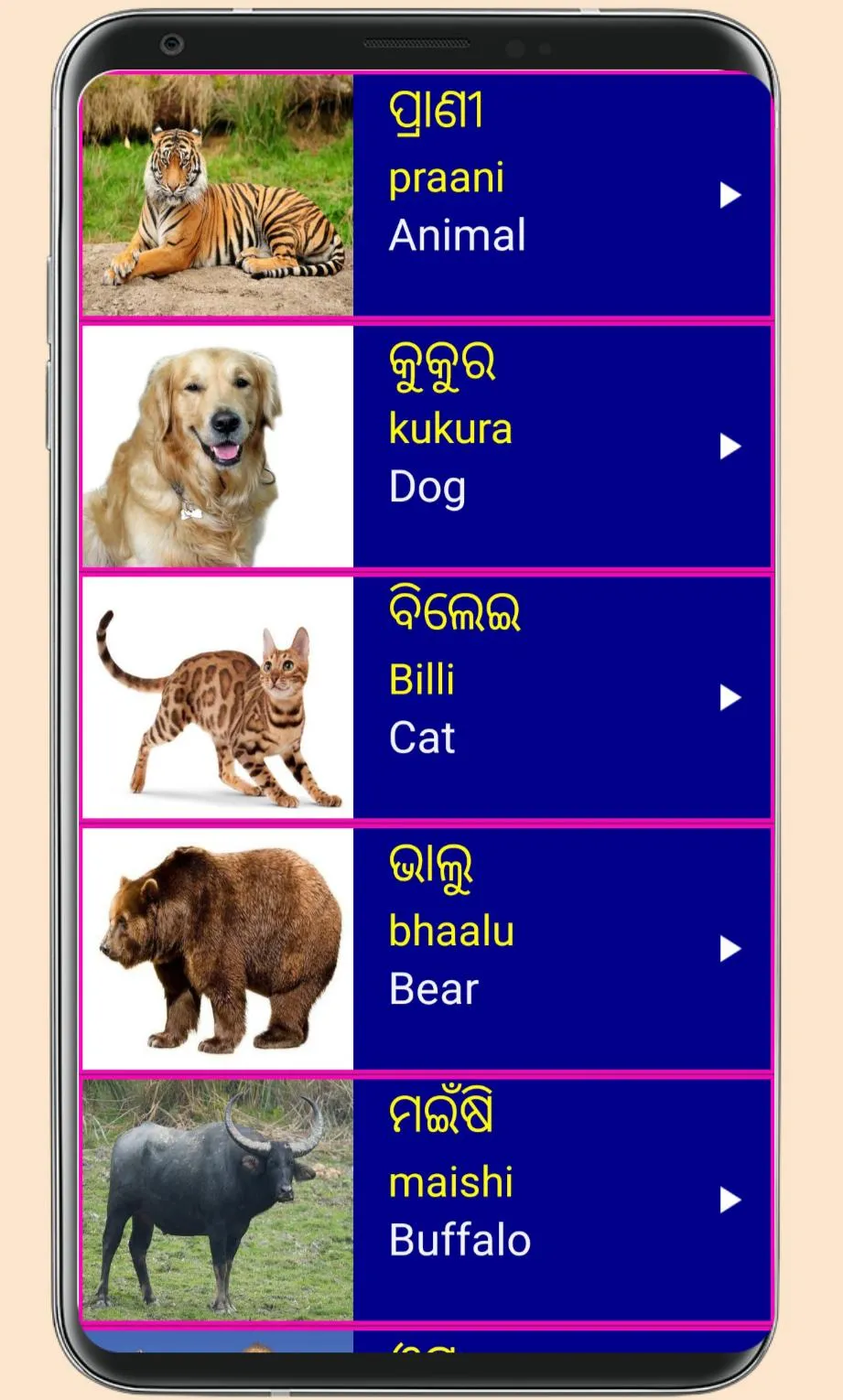 Learn Odia From English | Indus Appstore | Screenshot