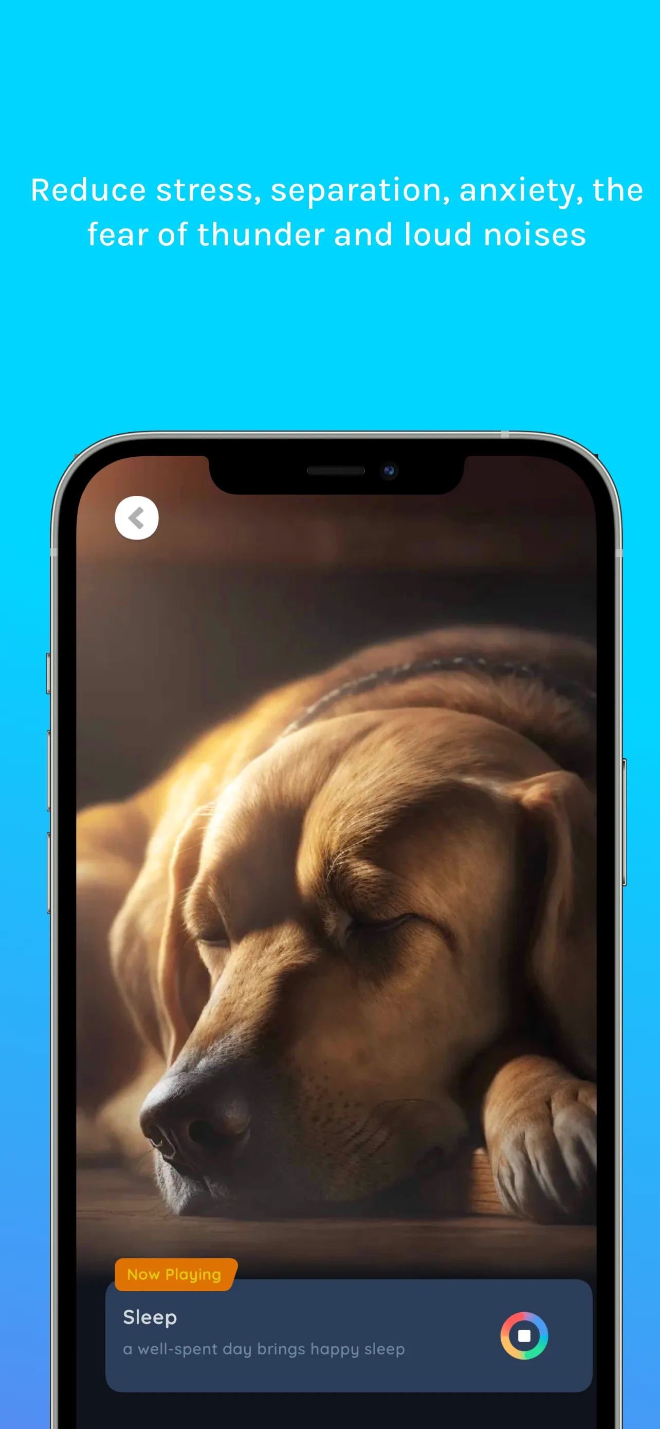 Relax Music for Cats and Dogs | Indus Appstore | Screenshot