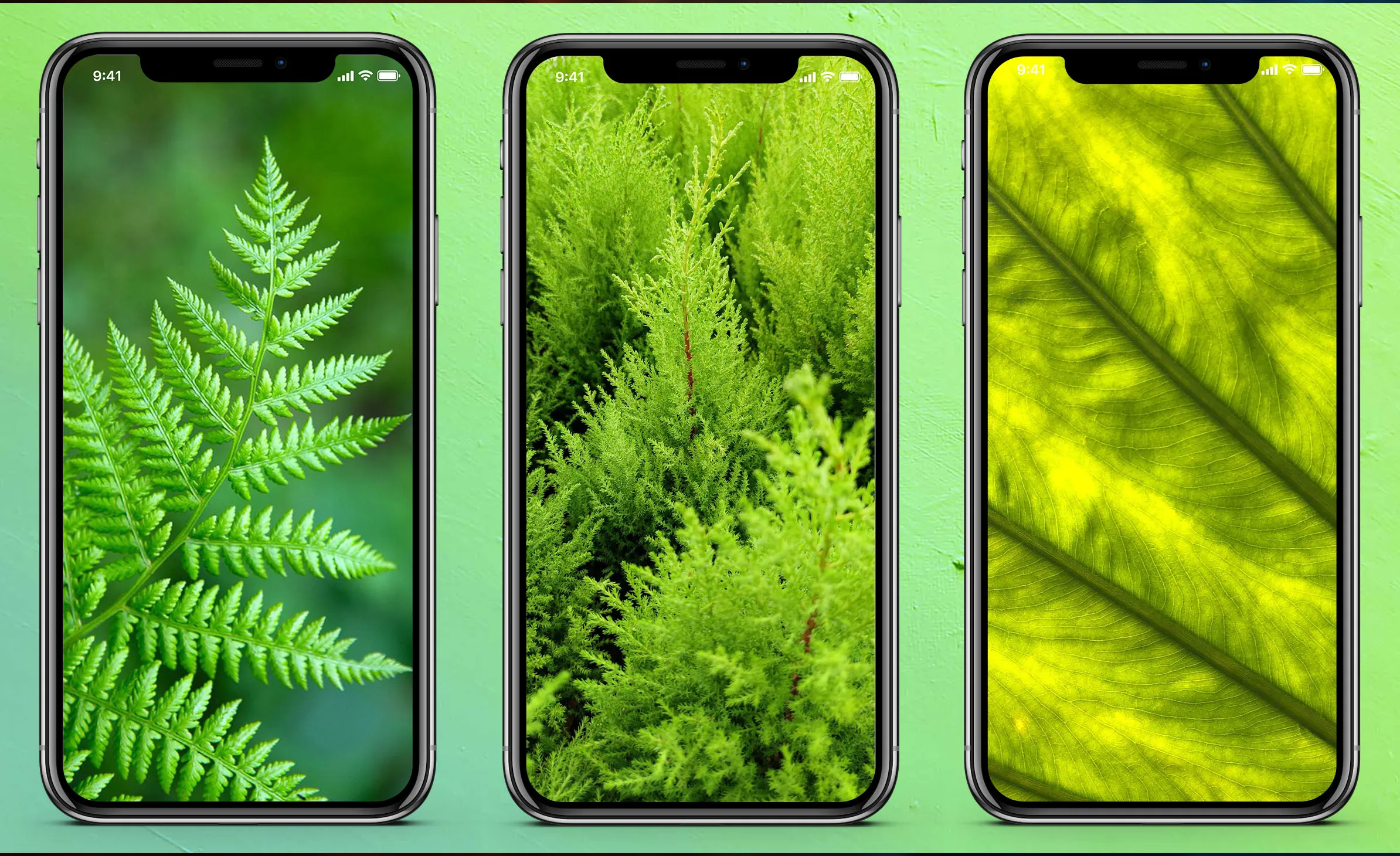 Green Wallpaper | Indus Appstore | Screenshot