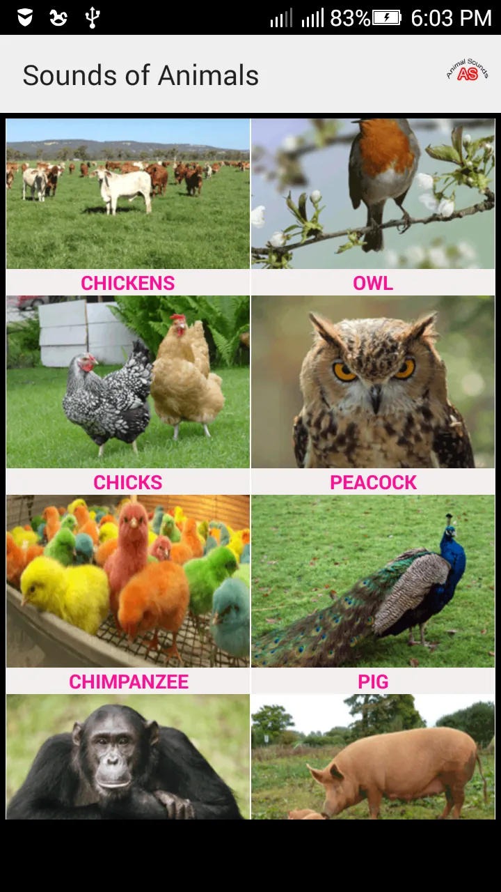 Sounds of Animals and Birds | Indus Appstore | Screenshot