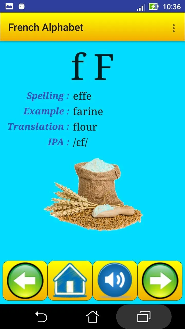 French alphabet for students | Indus Appstore | Screenshot