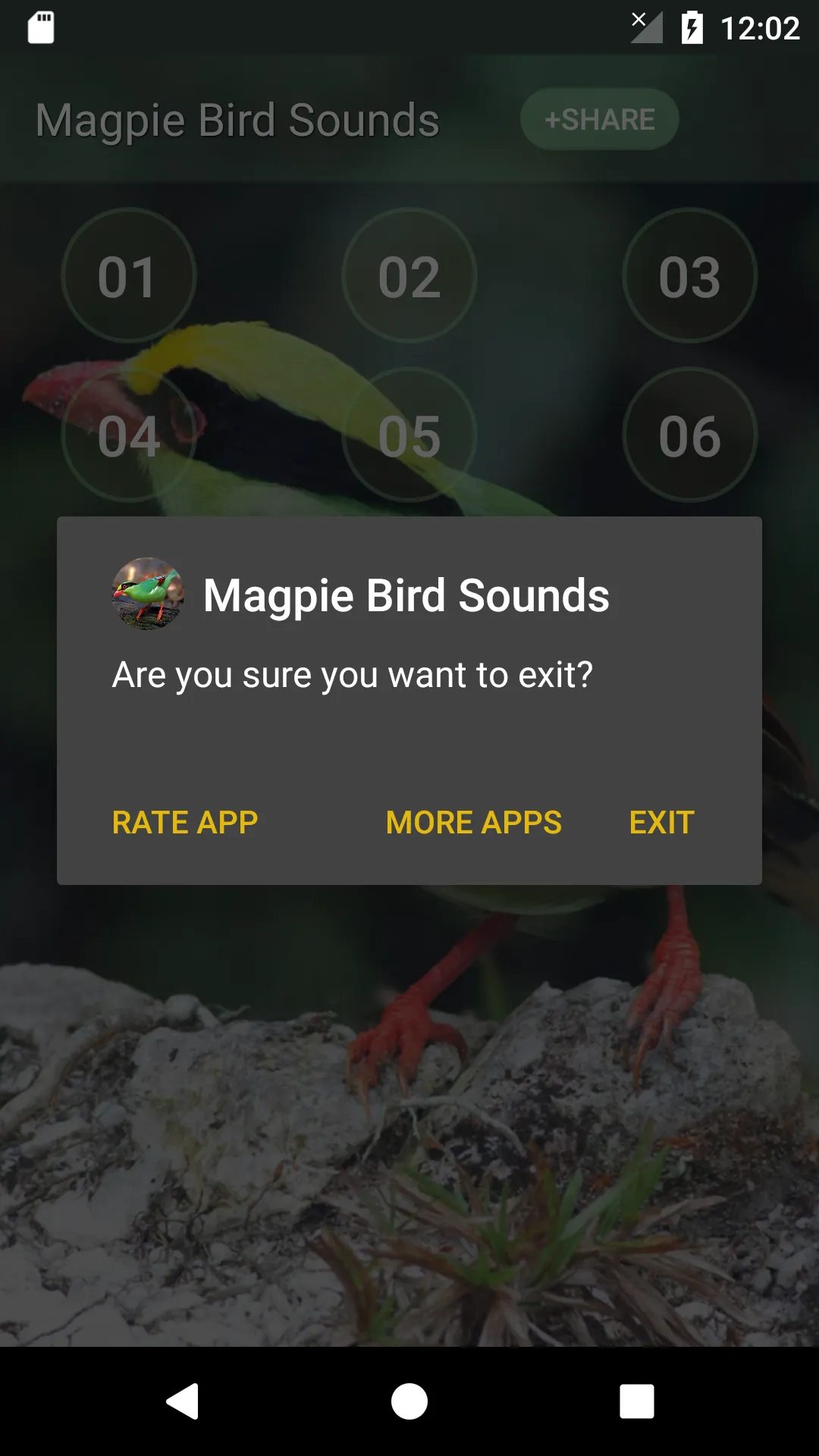 Magpie Bird Sounds | Indus Appstore | Screenshot