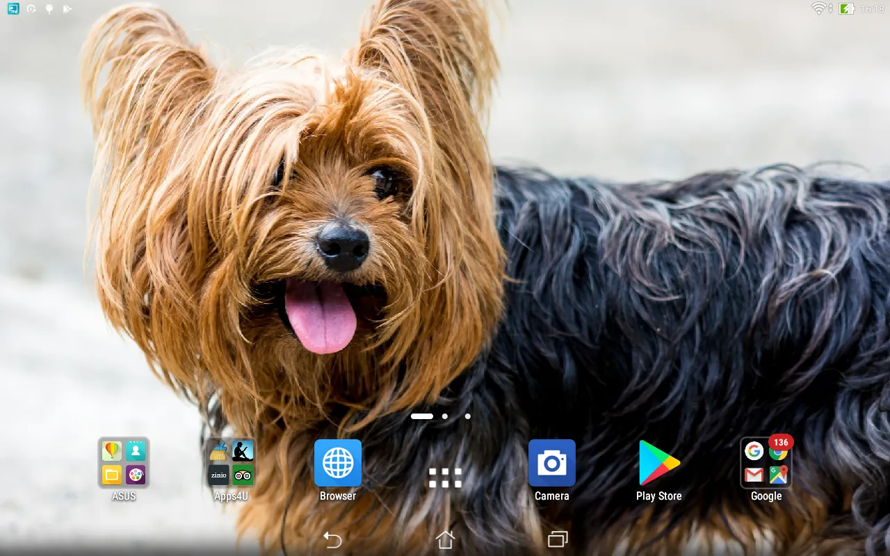 Yorkshire Terrier live wallpap | Indus Appstore | Screenshot