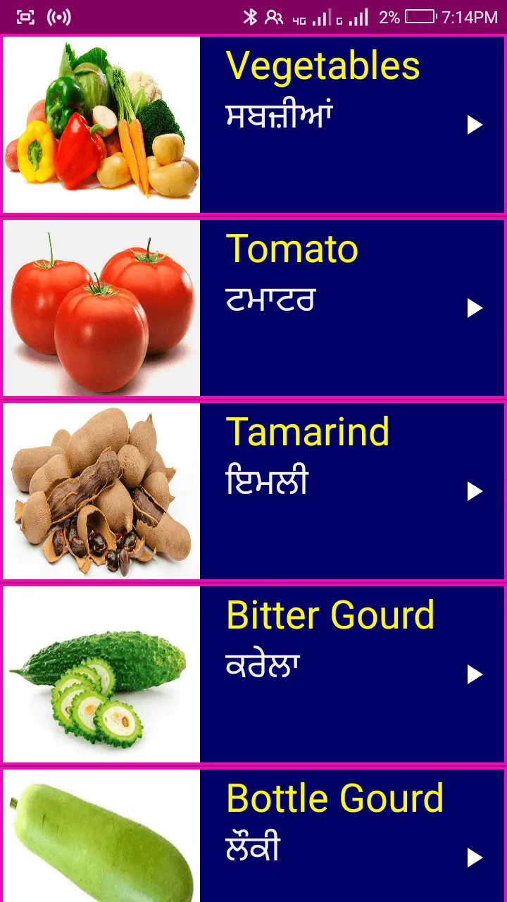 Learn English From Punjabi | Indus Appstore | Screenshot