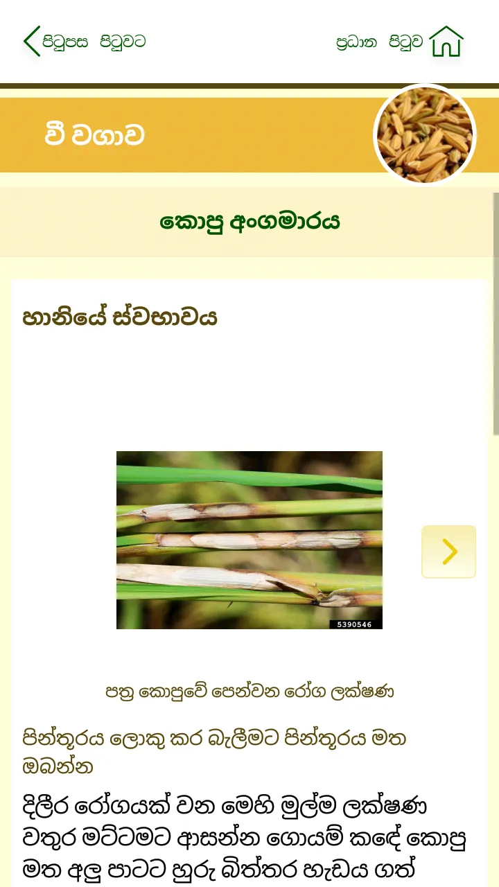 Govi Mithuru | Indus Appstore | Screenshot