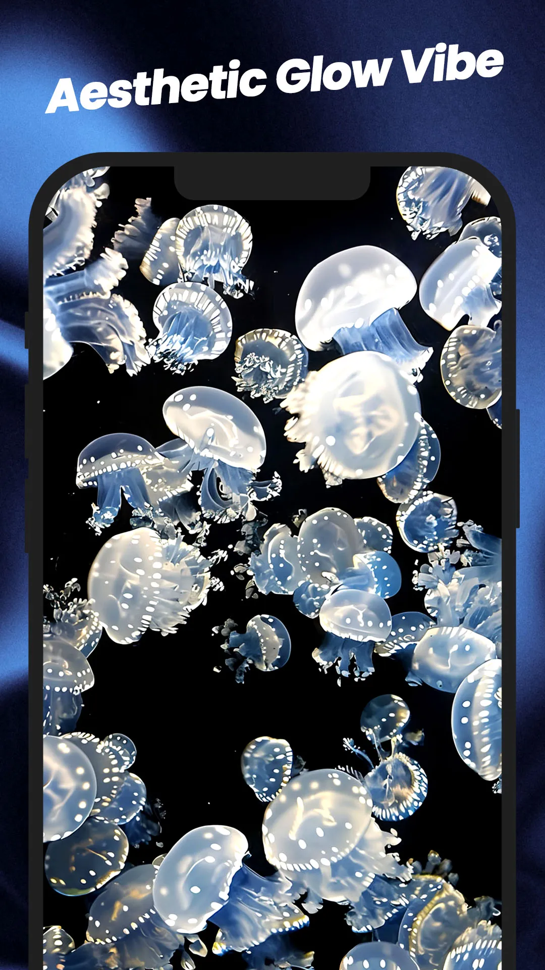 Wallpapers: 4K Live Wallpapers | Indus Appstore | Screenshot