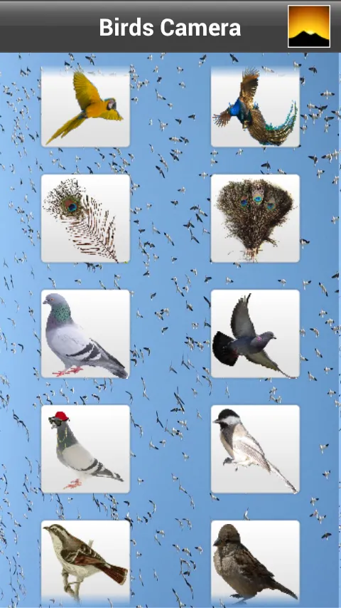 Birds Camera Frames | Indus Appstore | Screenshot