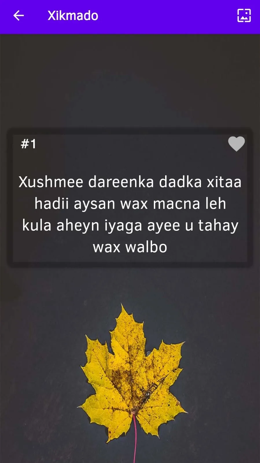 Xikmado Cusub | Indus Appstore | Screenshot