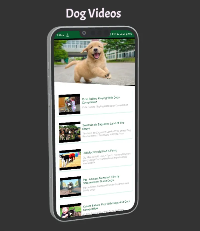 Animal And Bird Videos | Indus Appstore | Screenshot