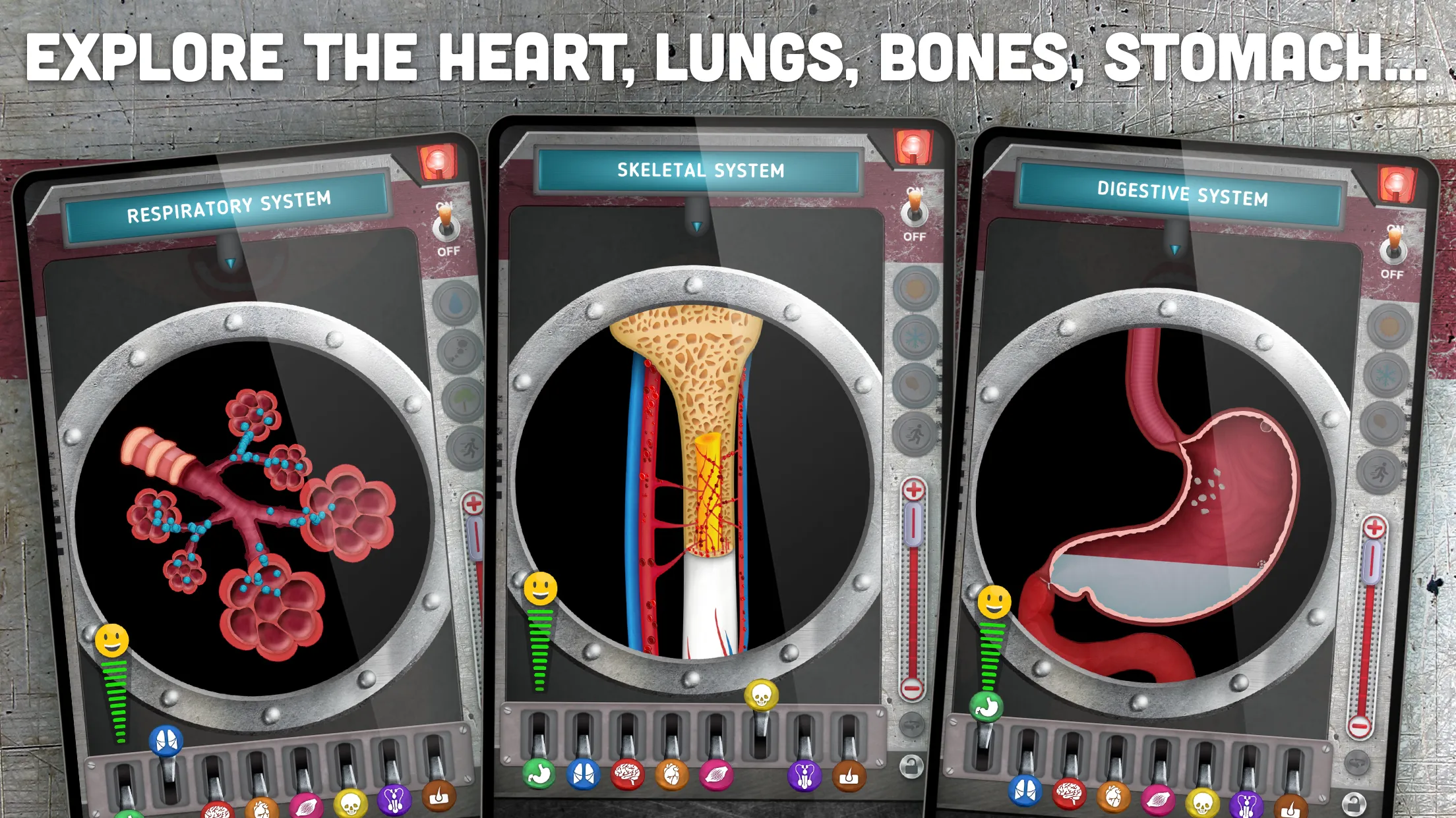 How does The Human Body Work? | Indus Appstore | Screenshot