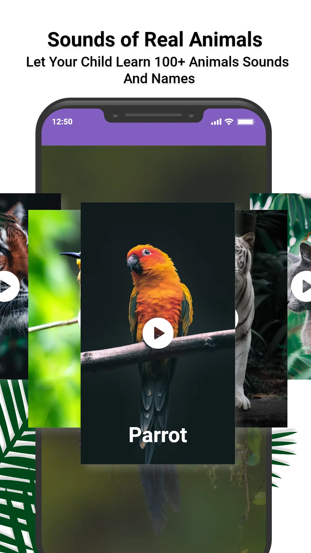 Animal Ringtones: Animal Sound | Indus Appstore | Screenshot