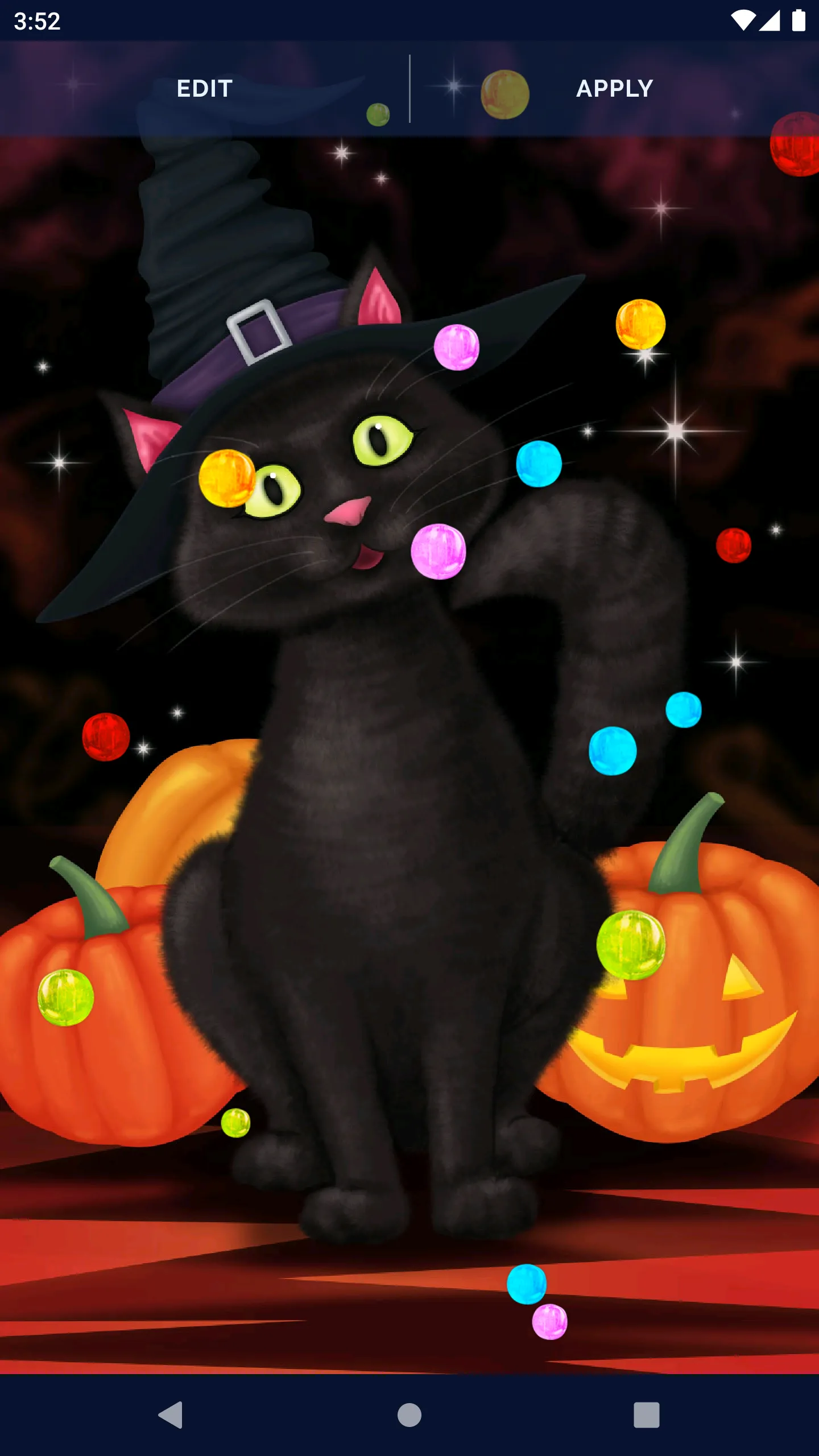 Halloween Black Cat Wallpaper | Indus Appstore | Screenshot