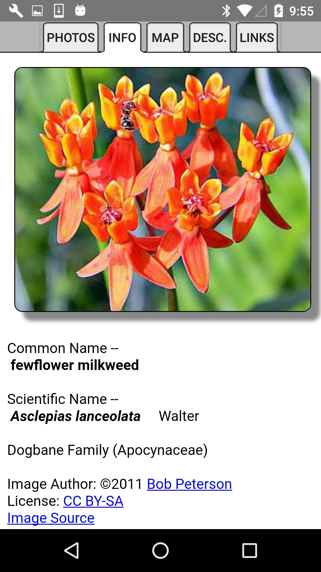 Mississippi Wildflowers | Indus Appstore | Screenshot