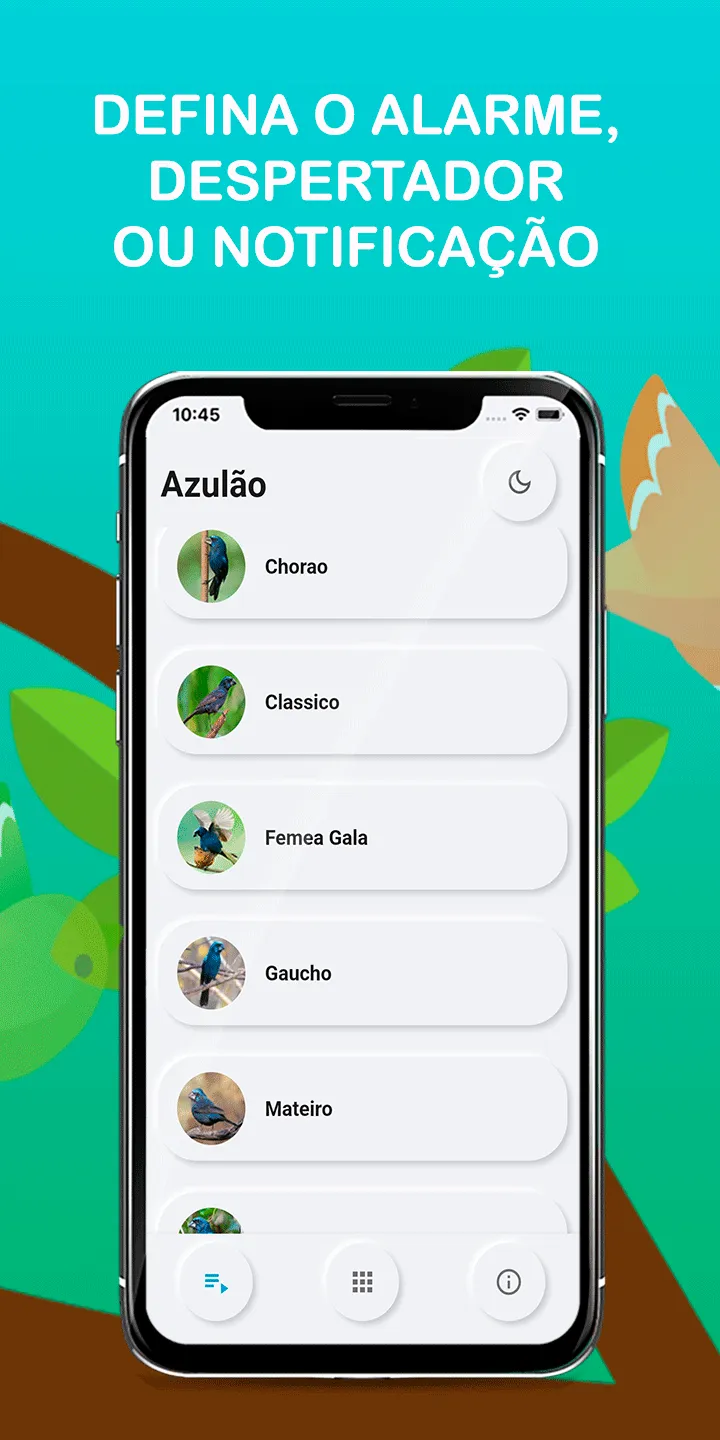 Songs of Azulão Brazil | Indus Appstore | Screenshot