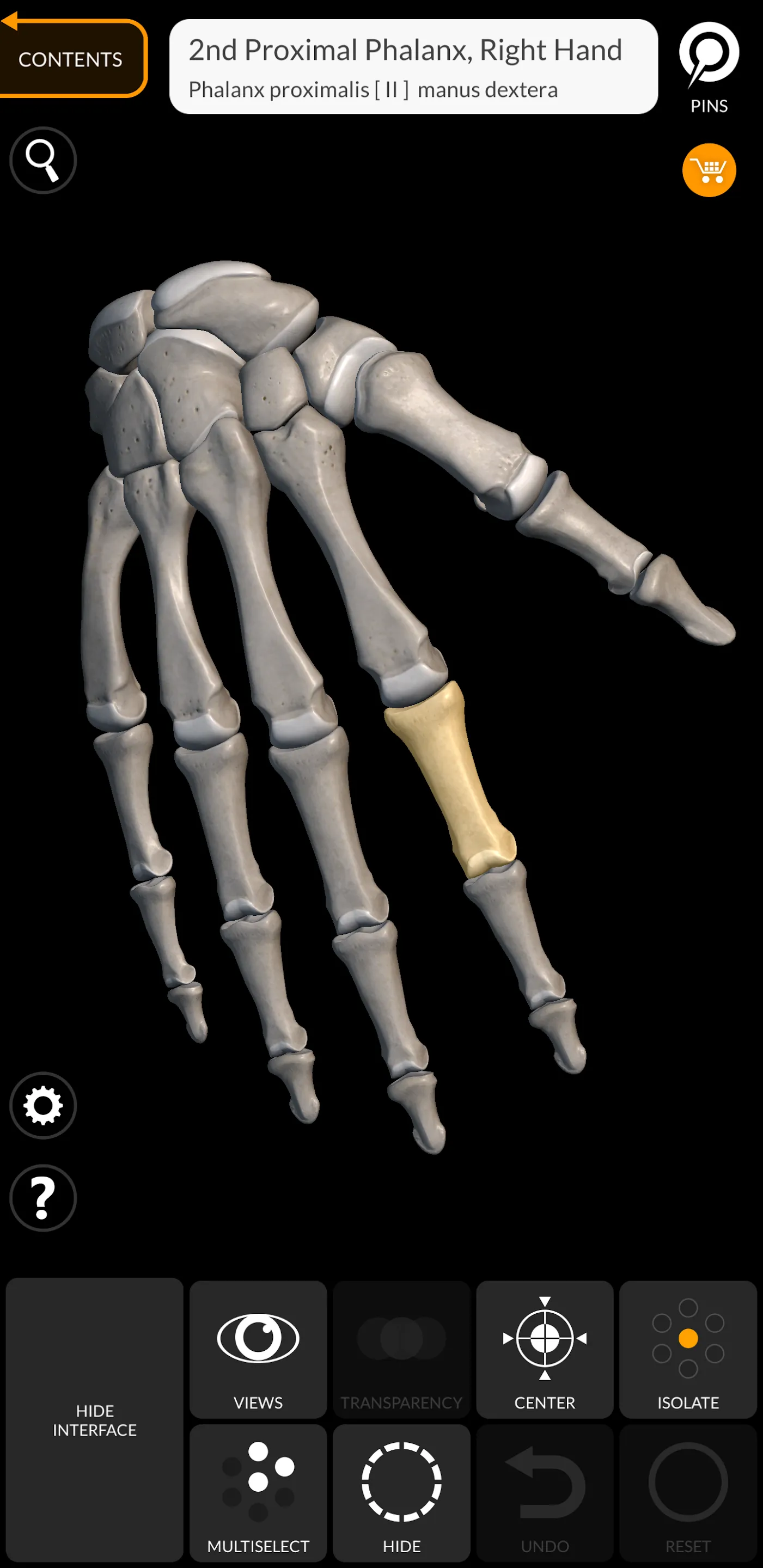 Skeleton | 3D Anatomy | Indus Appstore | Screenshot