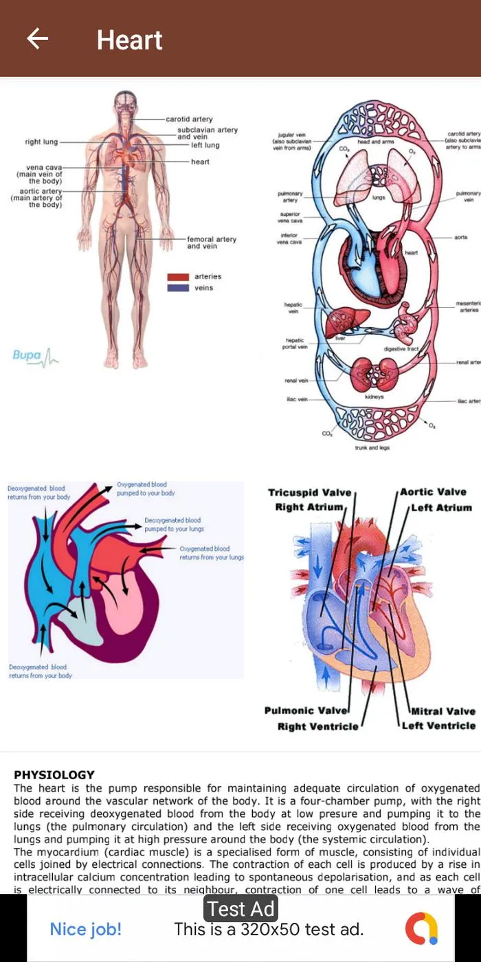 Anatomy & Physiology | Indus Appstore | Screenshot