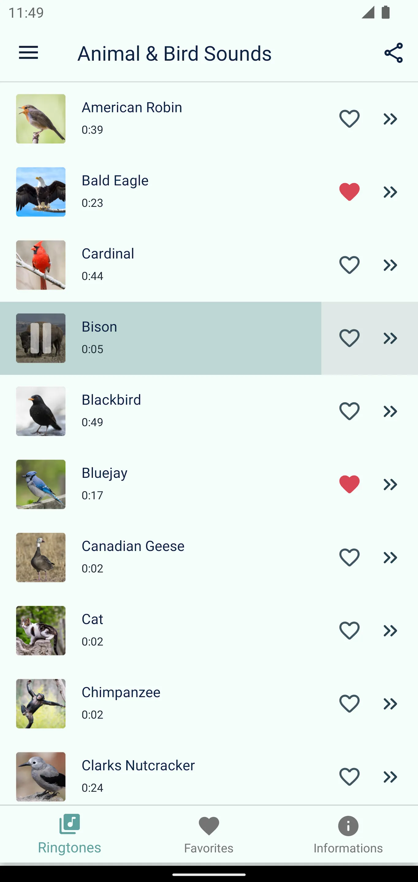 Bird and Animal sounds | Indus Appstore | Screenshot