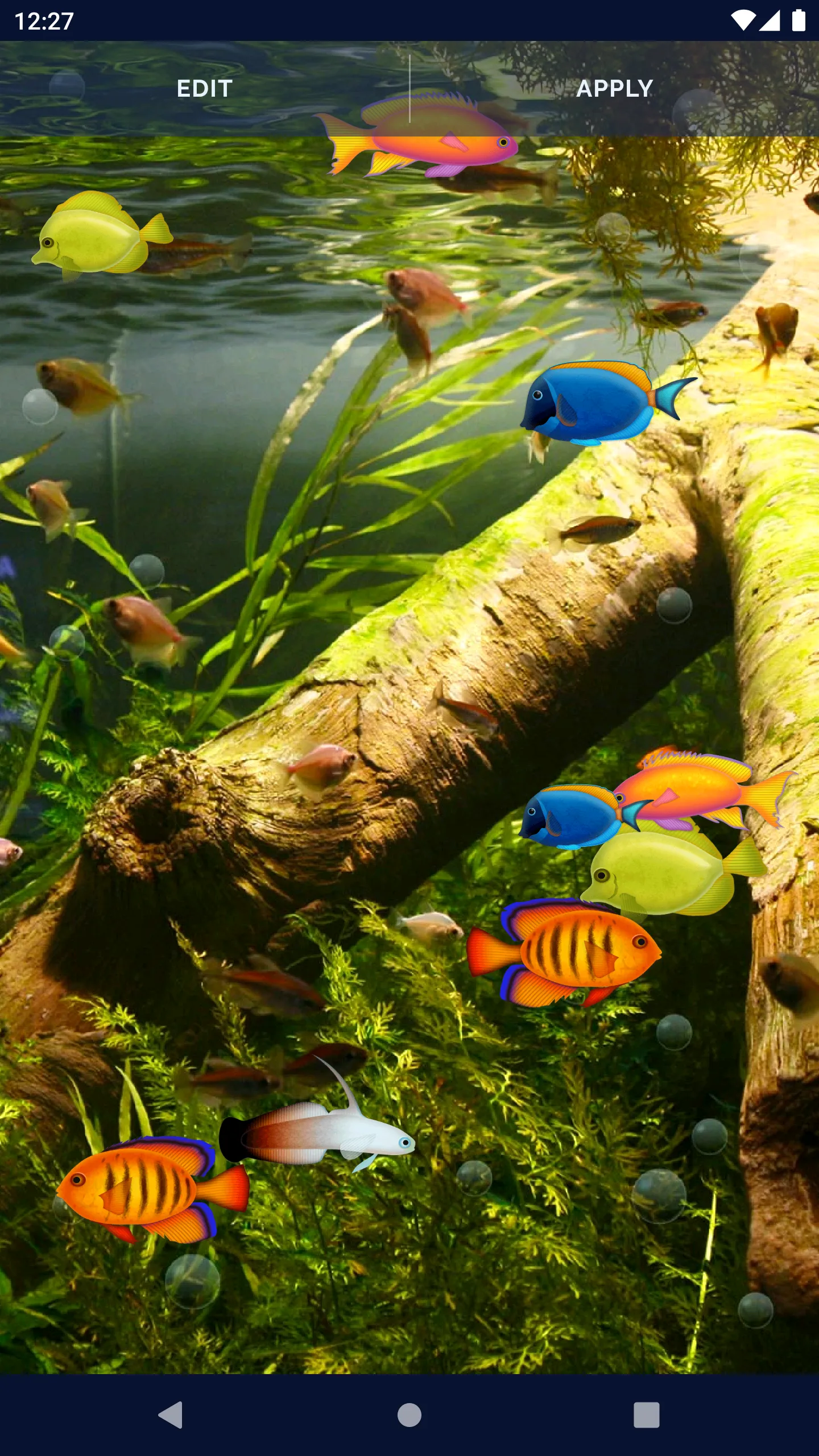 Aquarium Fish Live Wallpaper | Indus Appstore | Screenshot