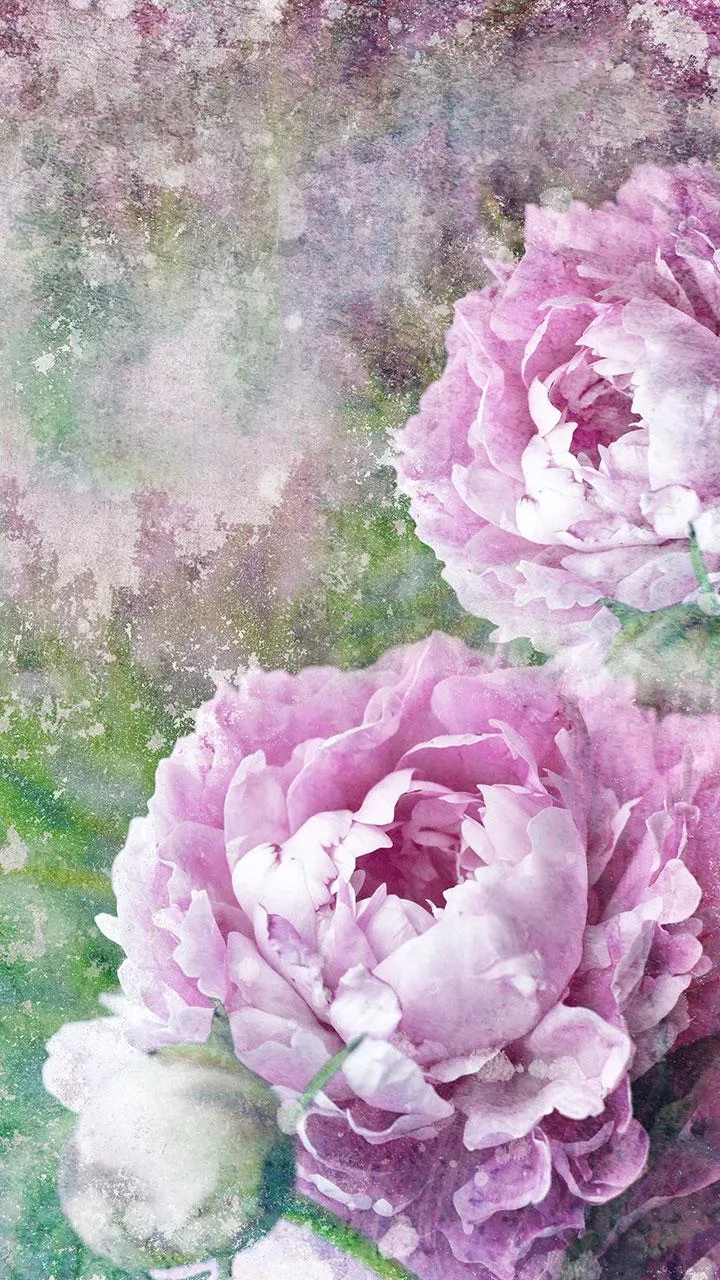 Vintage Roses Live Wallpaper | Indus Appstore | Screenshot