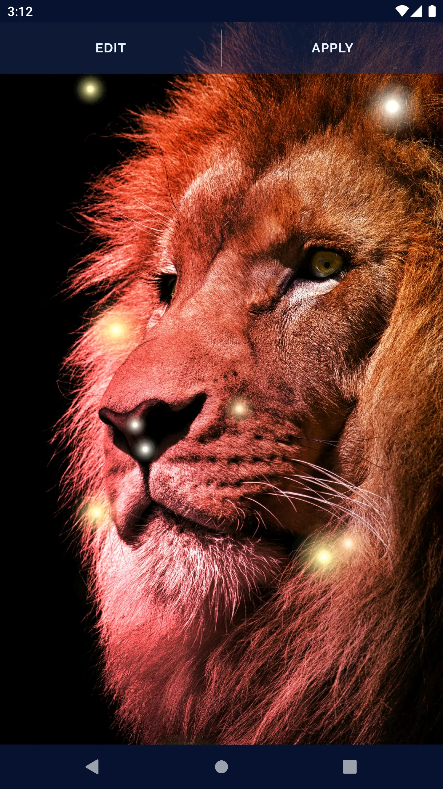 Brave Lion Live Wallpaper | Indus Appstore | Screenshot