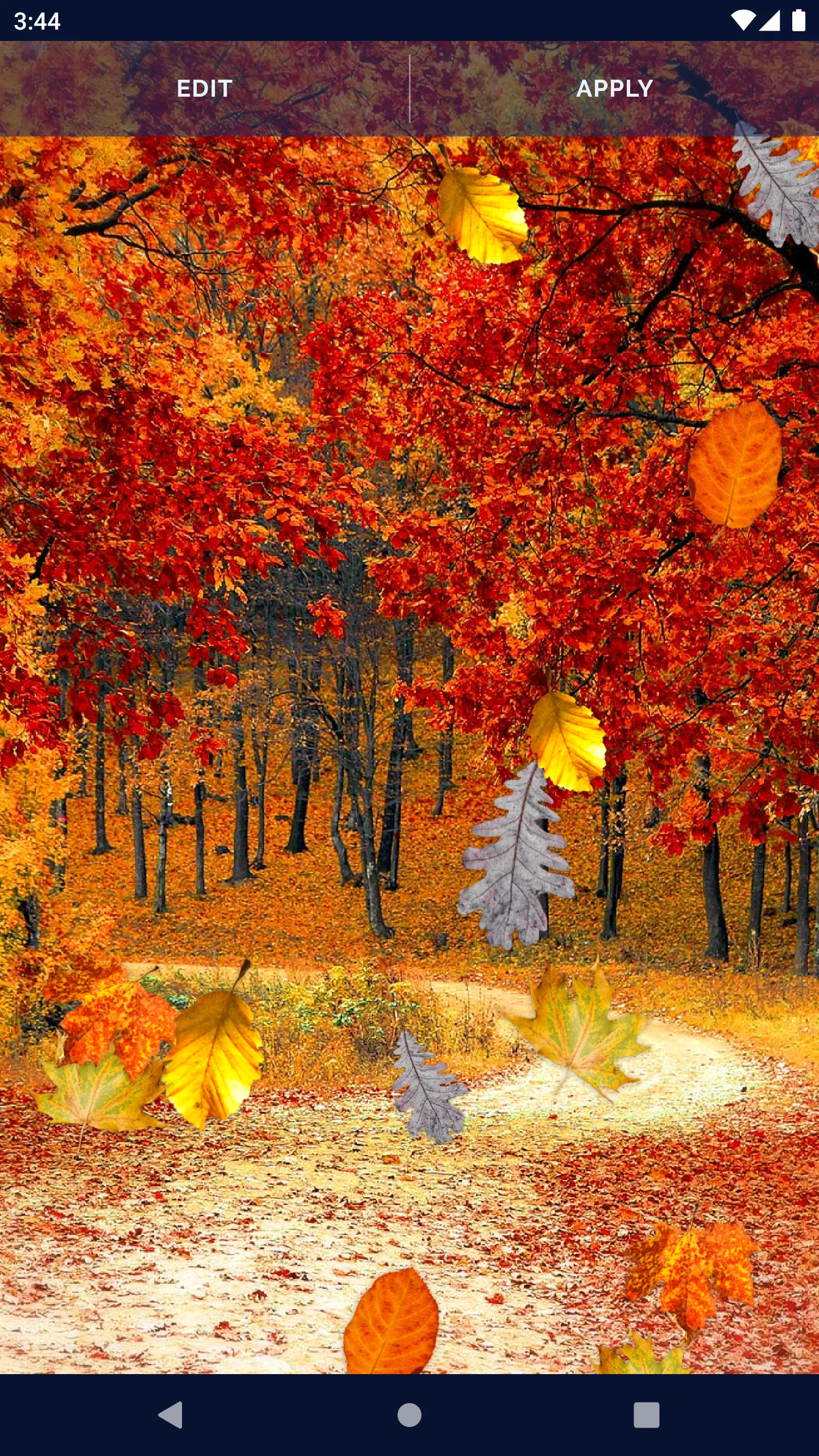 Autumn Leaves Live Wallpaper | Indus Appstore | Screenshot