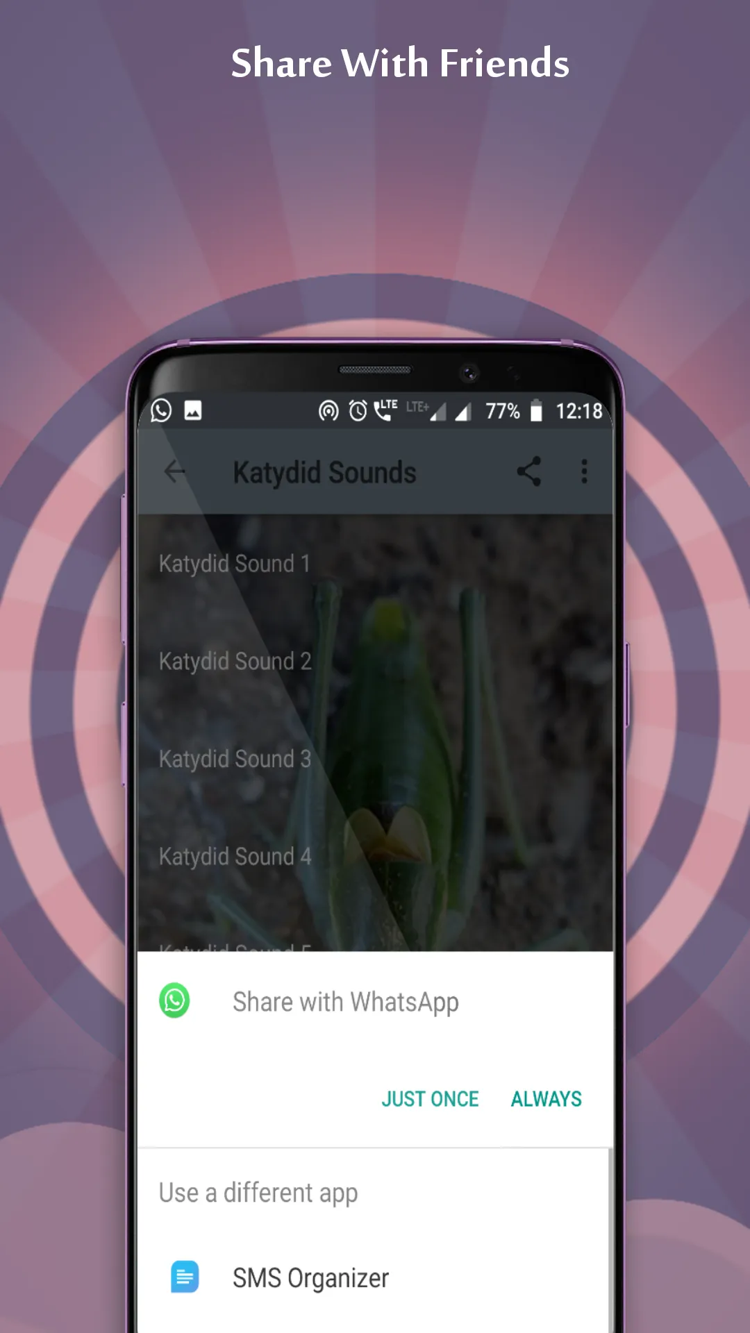 Katydid Sounds | Indus Appstore | Screenshot