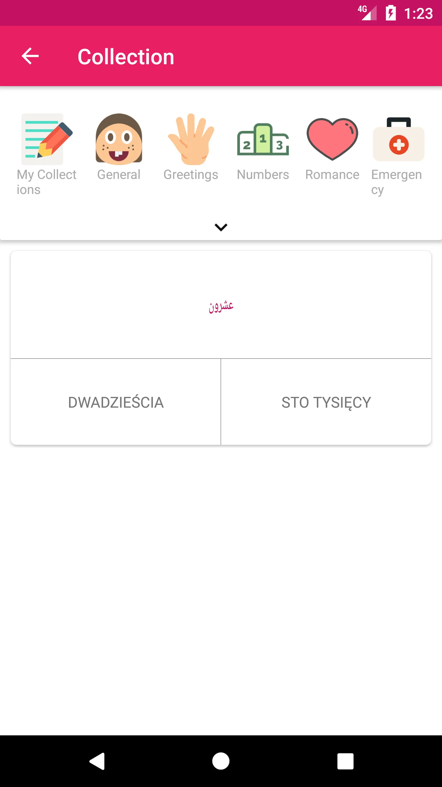 Arabic Polish Dictionary | Indus Appstore | Screenshot